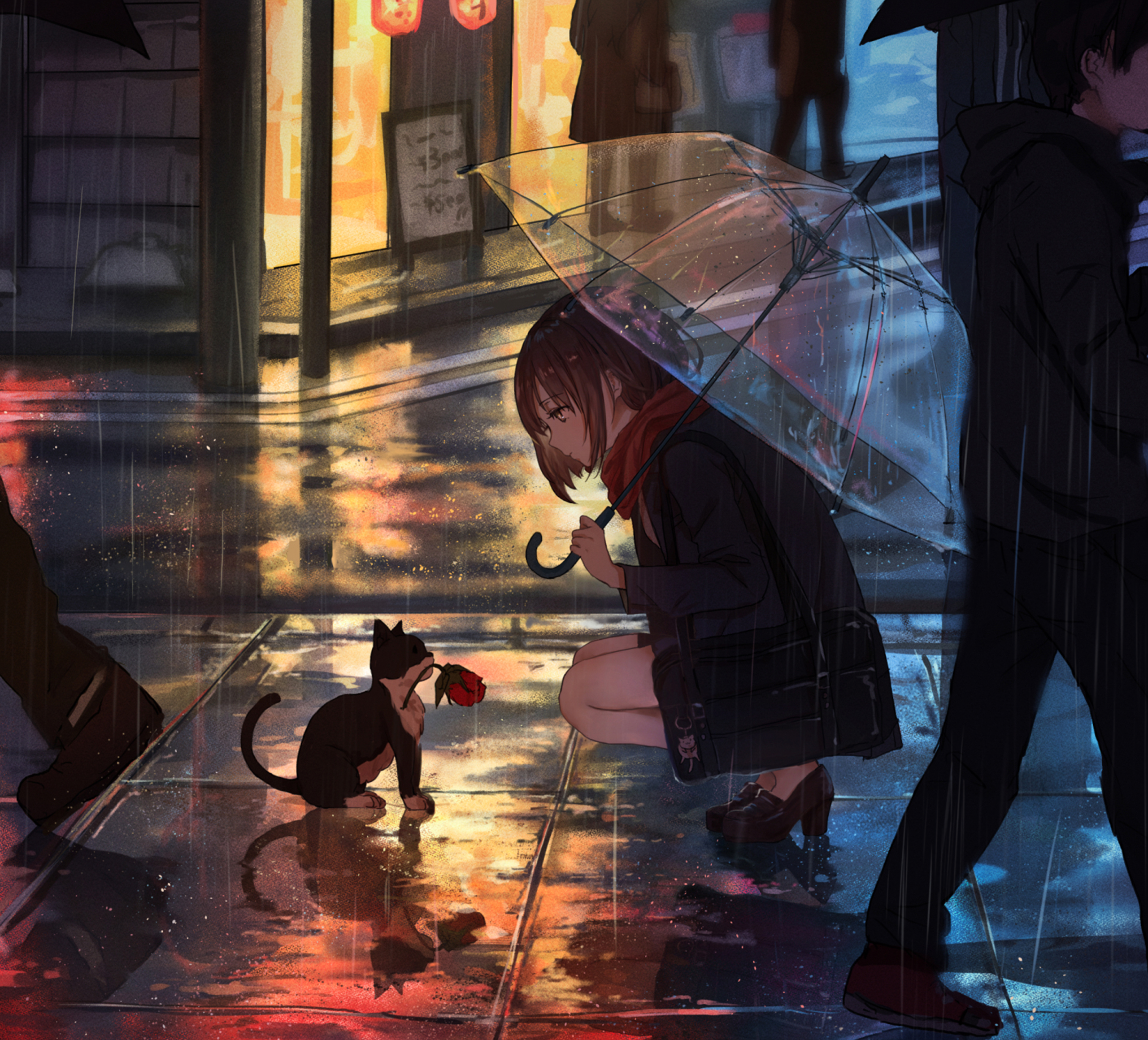Girl with cat and rose in the rain HD Wallpaper