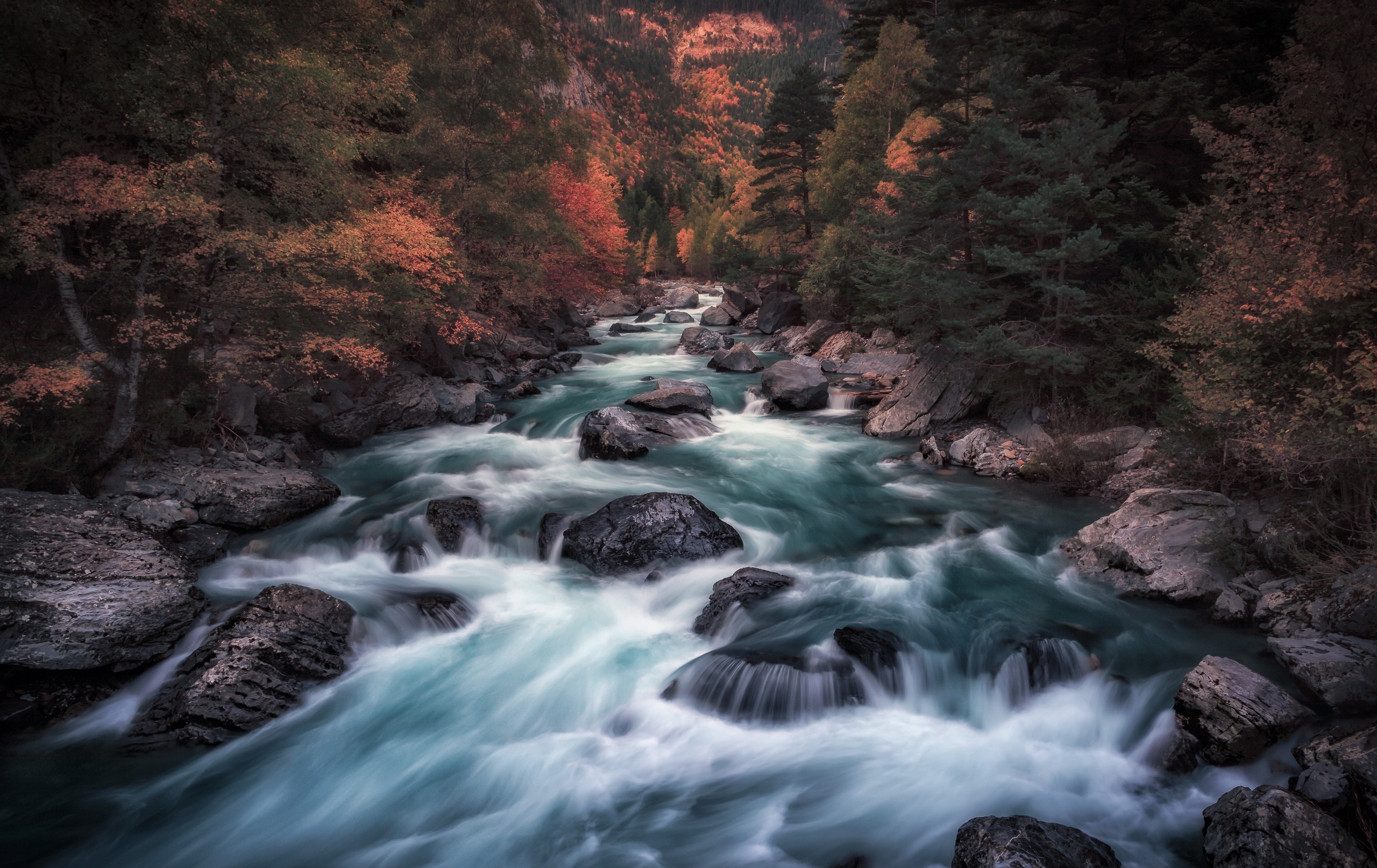 Long exposure of a river flowing through rocks and trees in fall HD Wallpaper