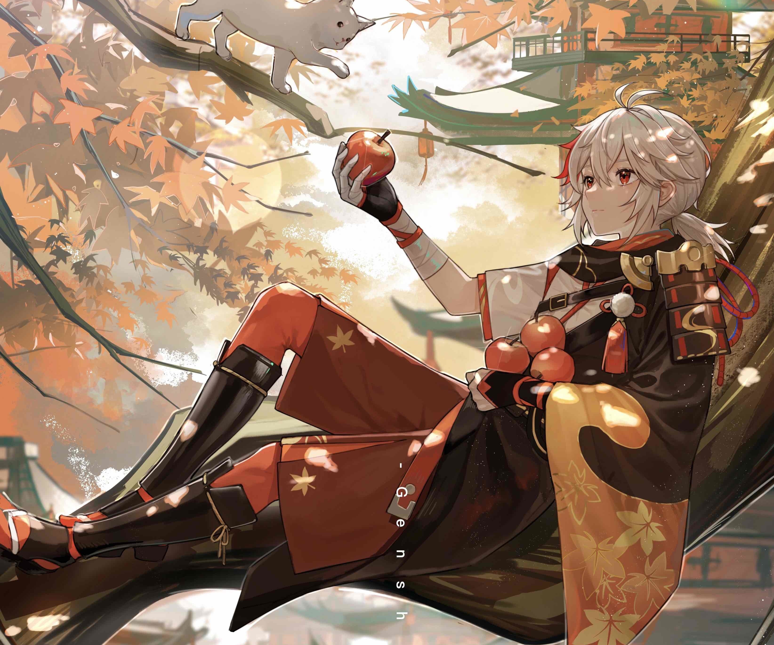 Kazuha from Genshin Impact sitting in a tree with apples HD Wallpaper