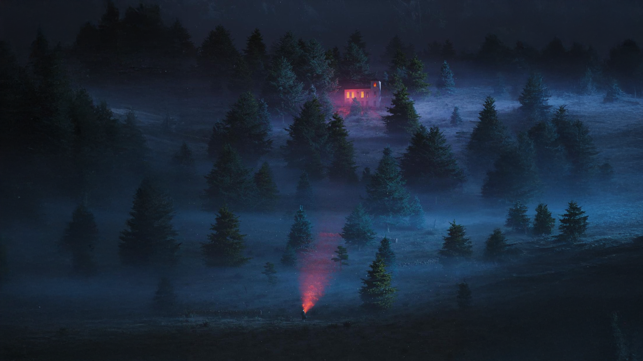 Person with flashlight in foggy forest at night HD Wallpaper