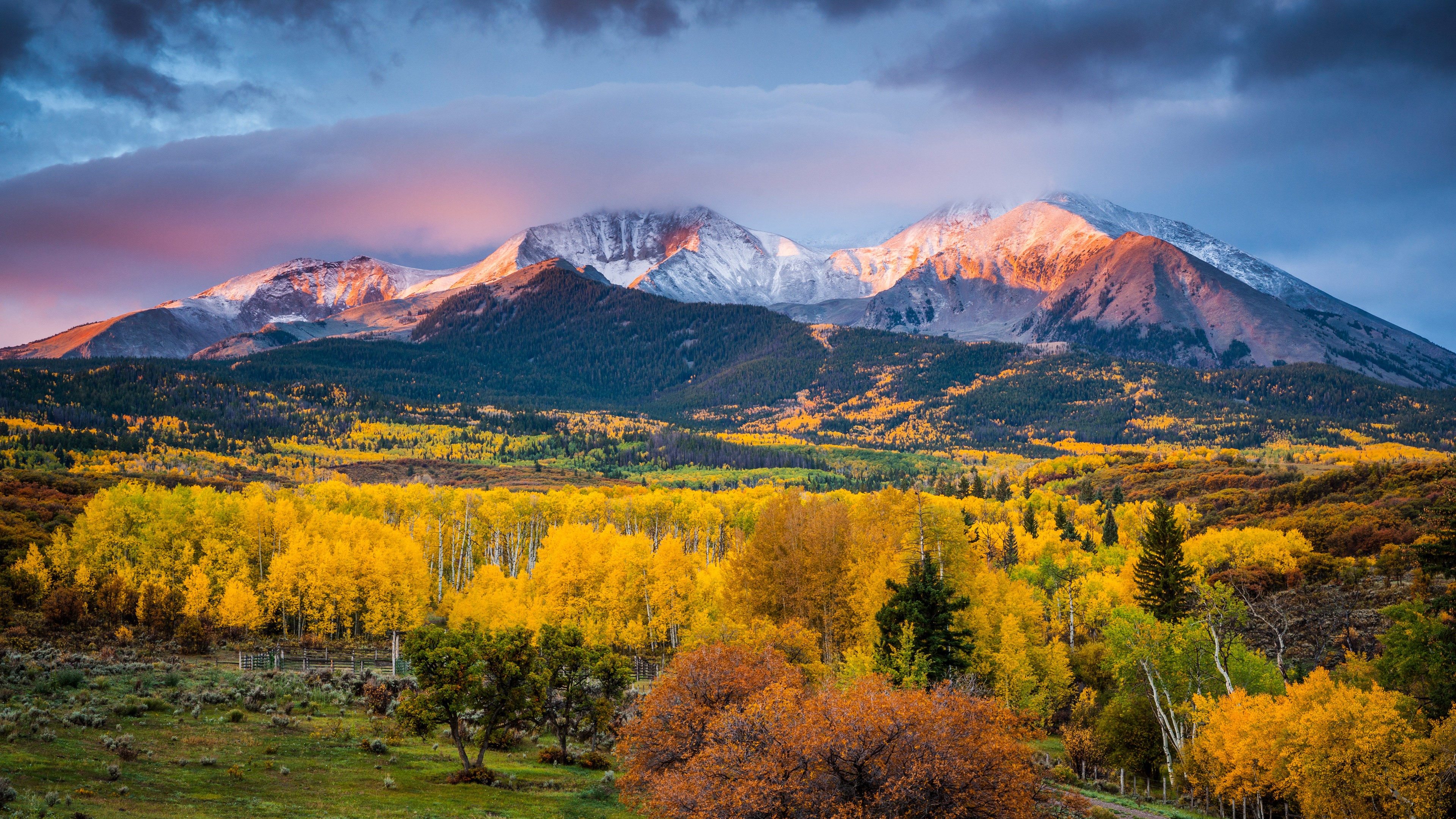 Golden Aspen Forest Below Snow-Capped Mountains at Sunrise HD Wallpaper