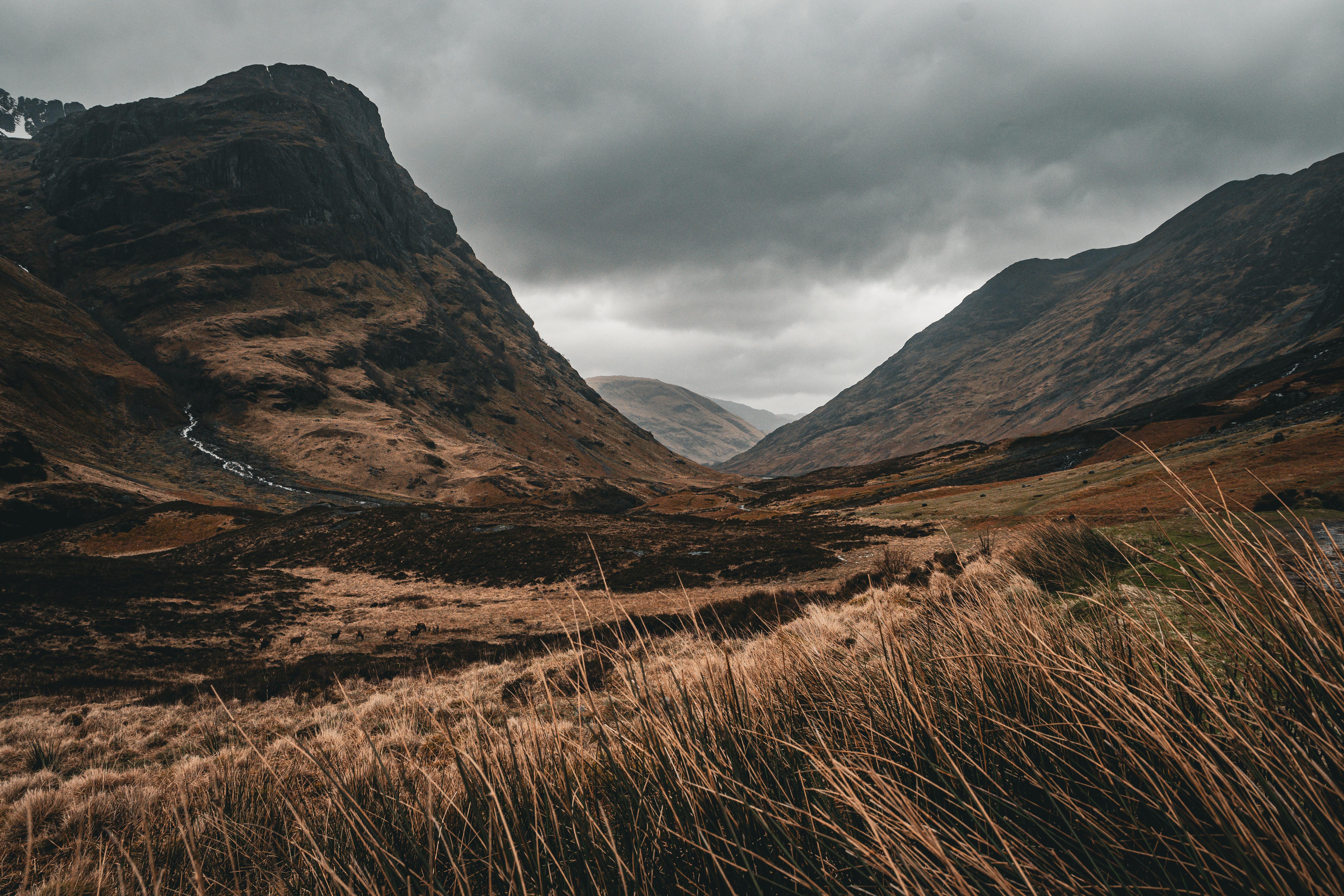 Gloomy Scottish Highlands with Mountains and Grass HD Wallpaper