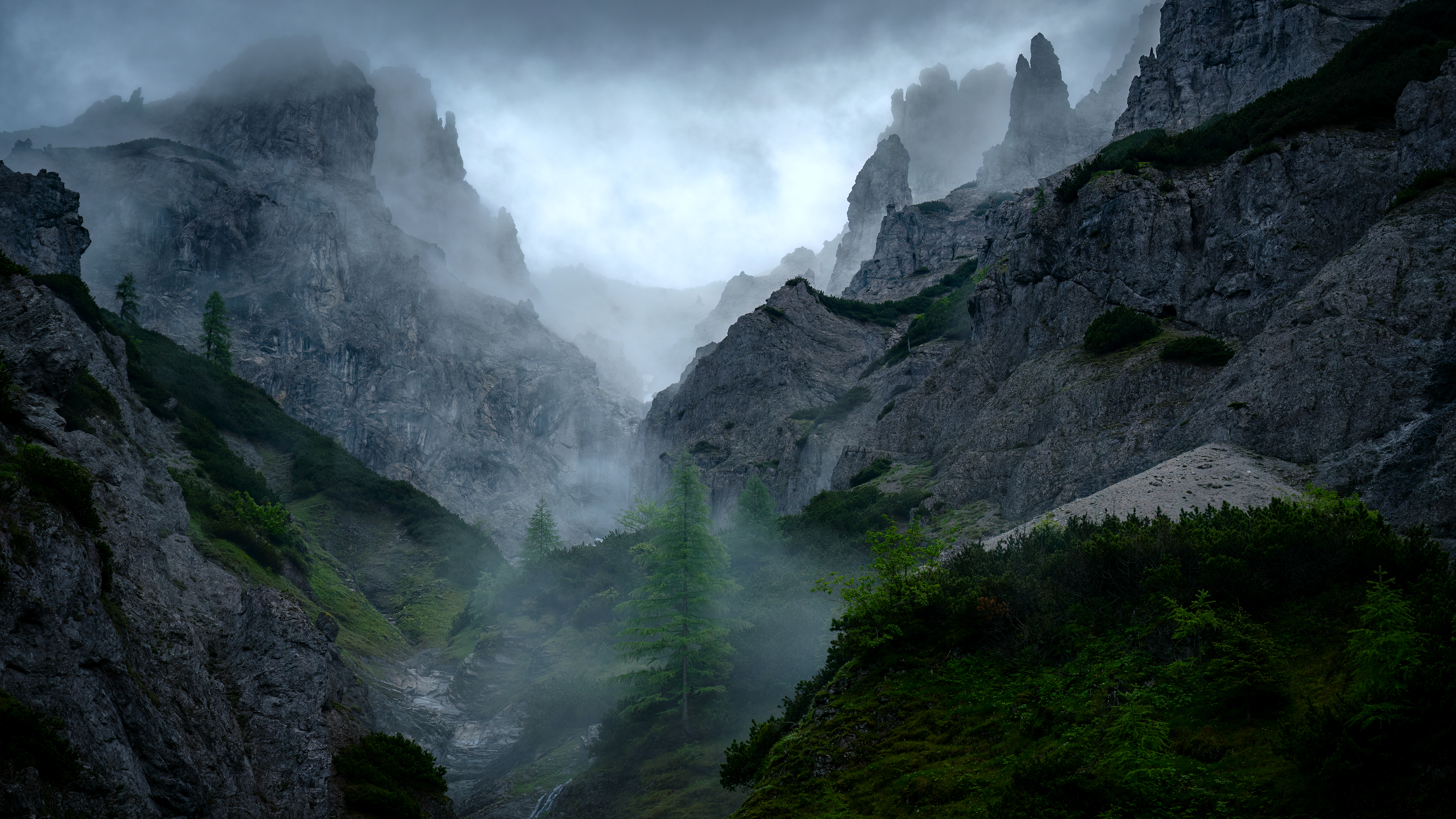 Misty mountain valley with rocky peaks and trees HD Wallpaper