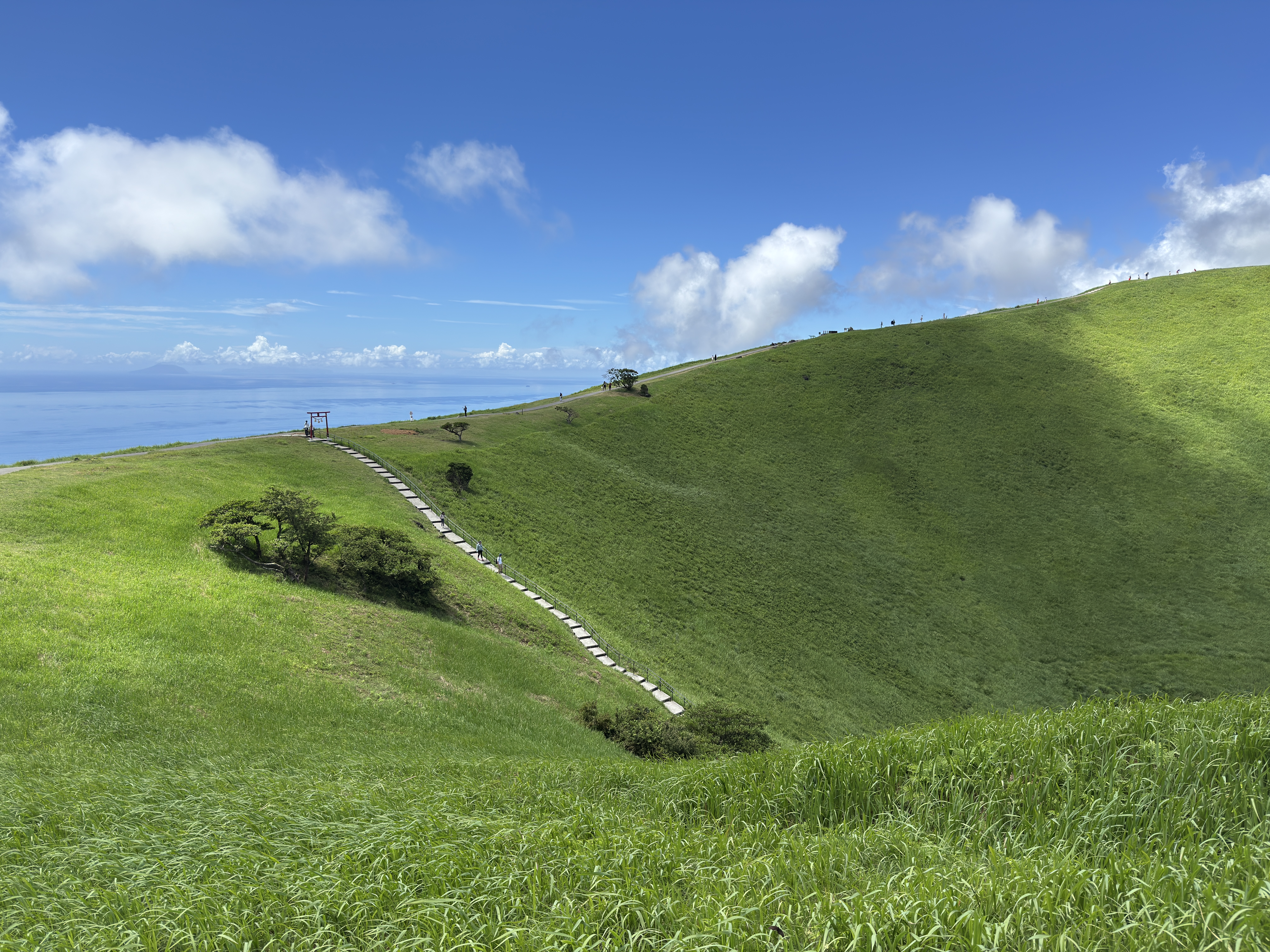 Green grassy hillside with stone steps leading to a torii gate HD Wallpaper