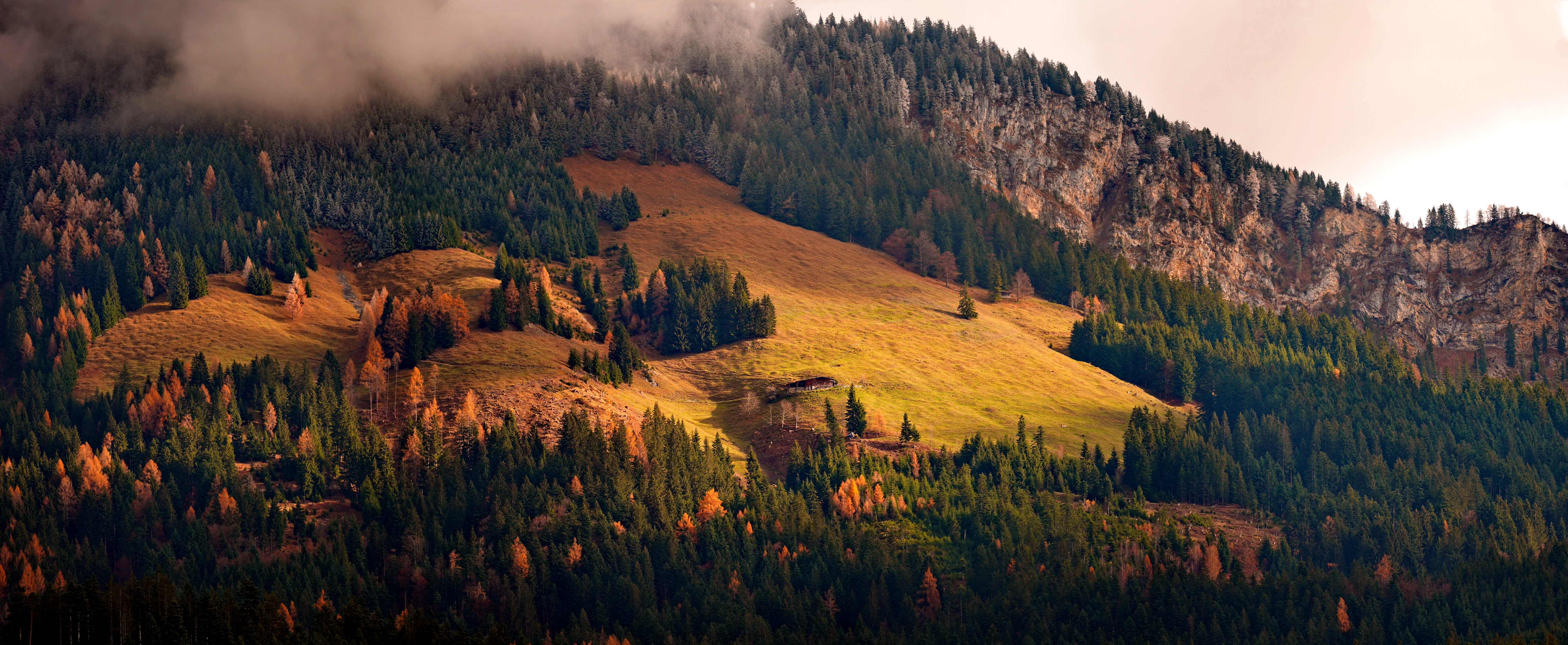 Autumn mountain slope with pine trees and clouds HD Wallpaper