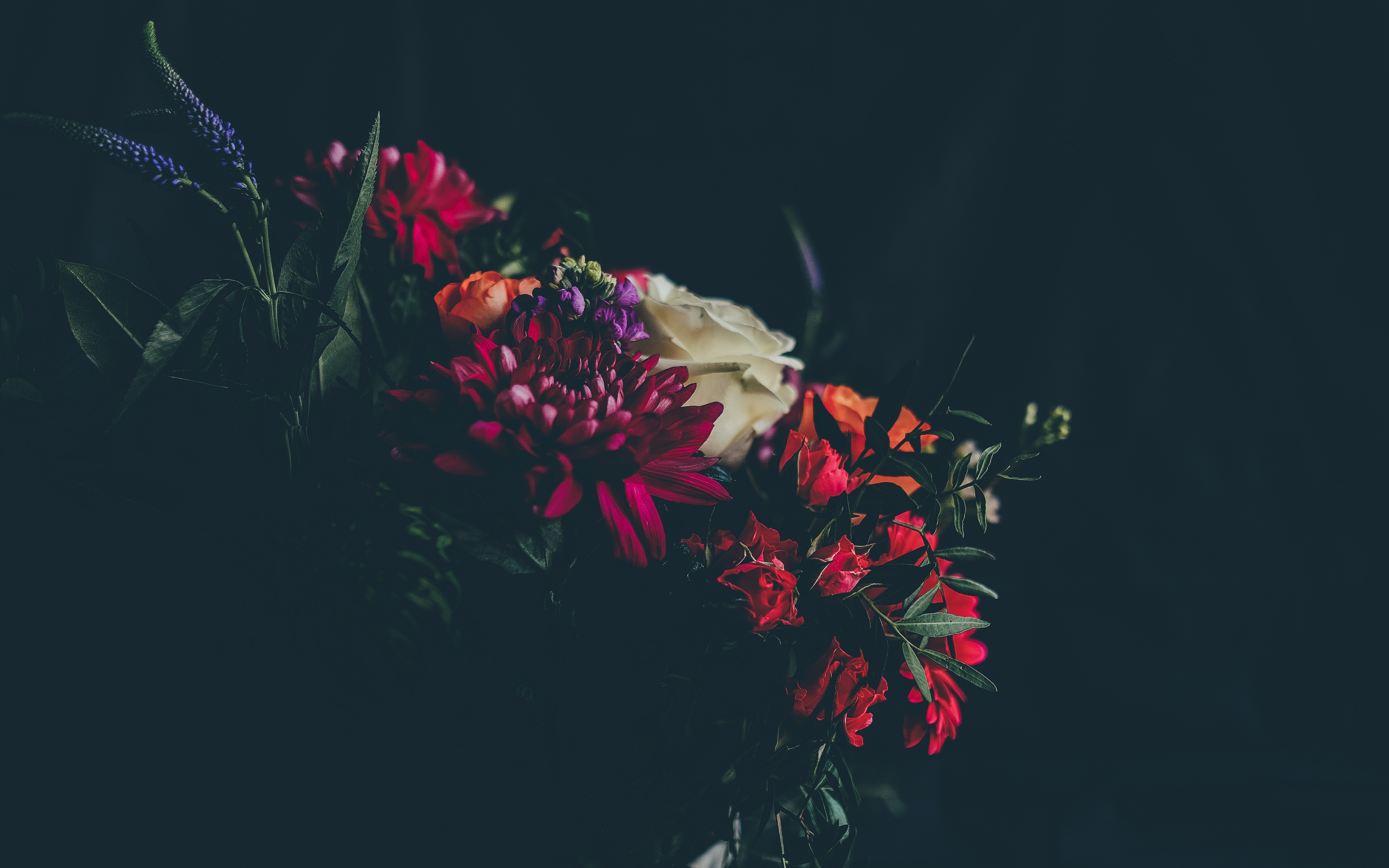Colorful bouquet of flowers with dark background HD Wallpaper