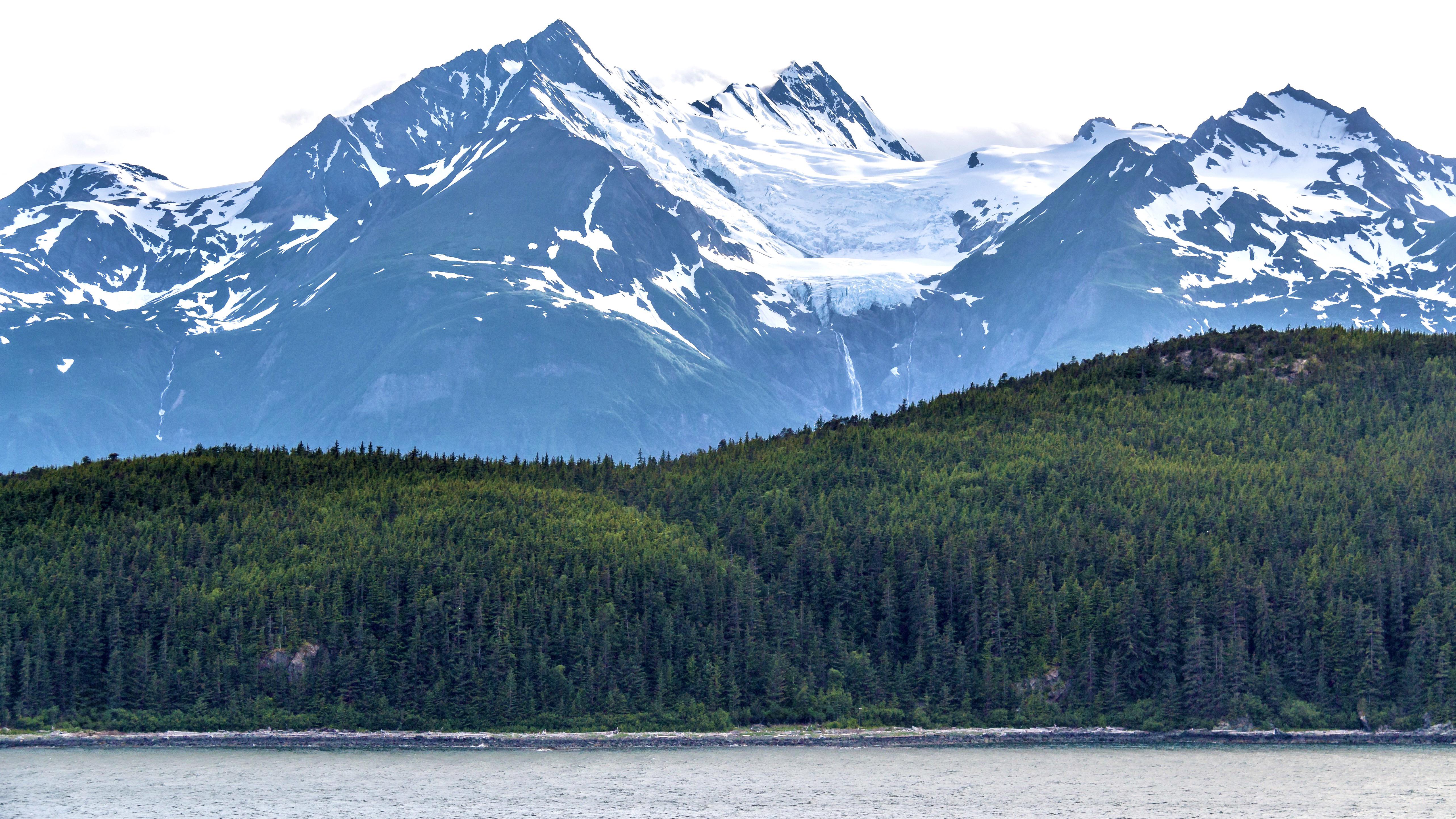 Snow-capped mountains over a green forest and coast HD Wallpaper