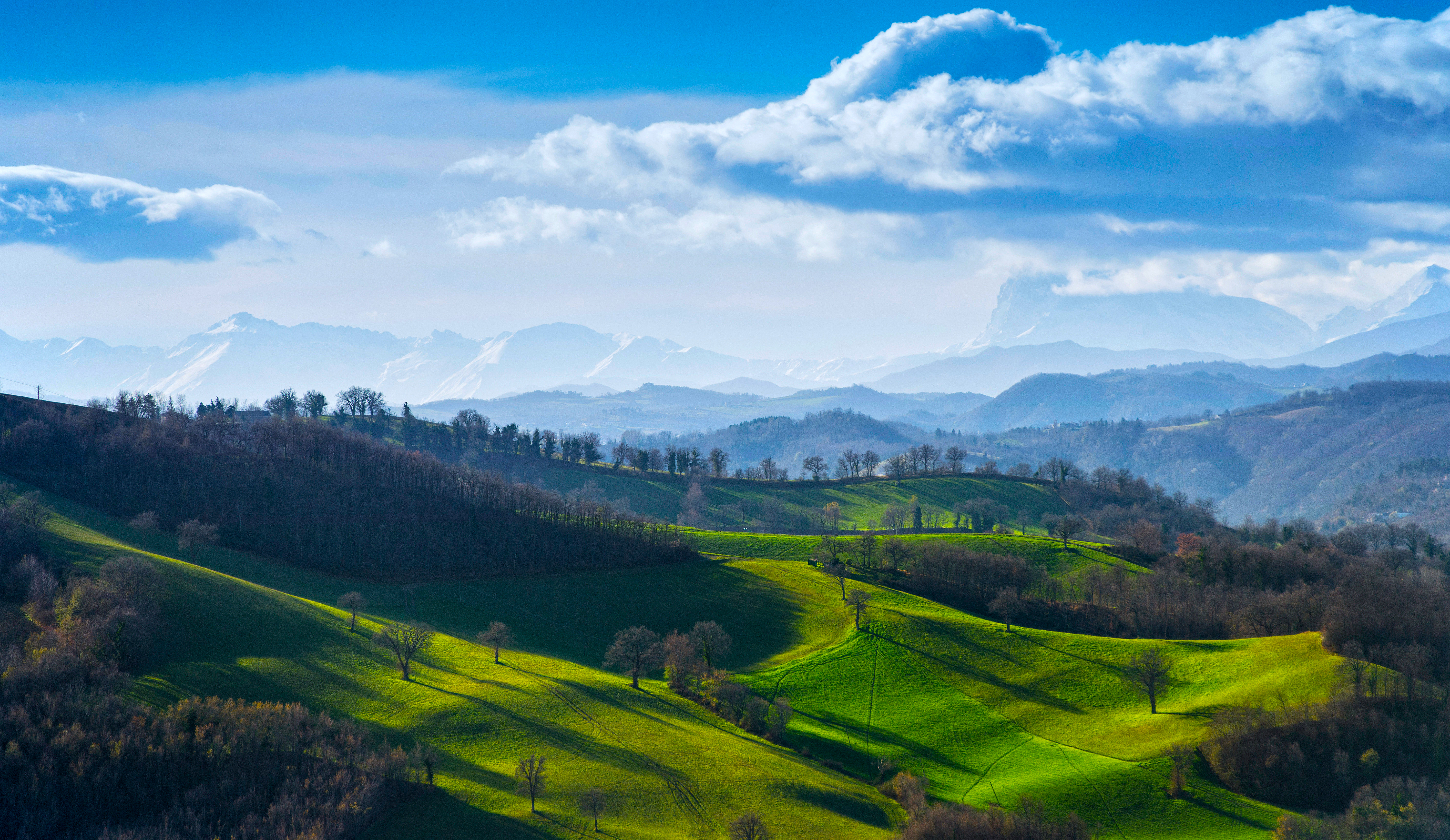 Rolling green hills with trees under a cloudy sky HD Wallpaper