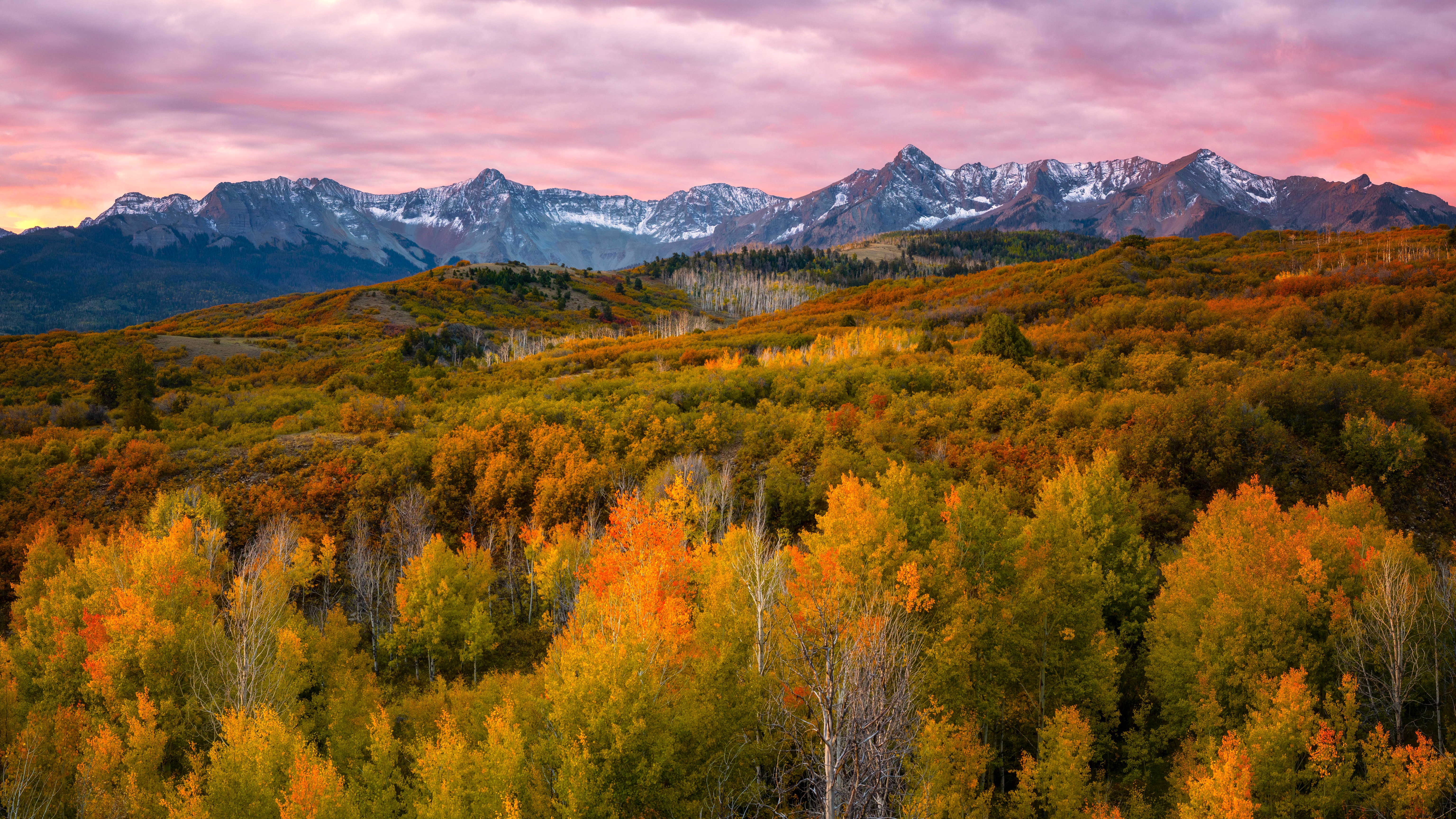 Autumn forest with snow-capped mountains at sunrise HD Wallpaper