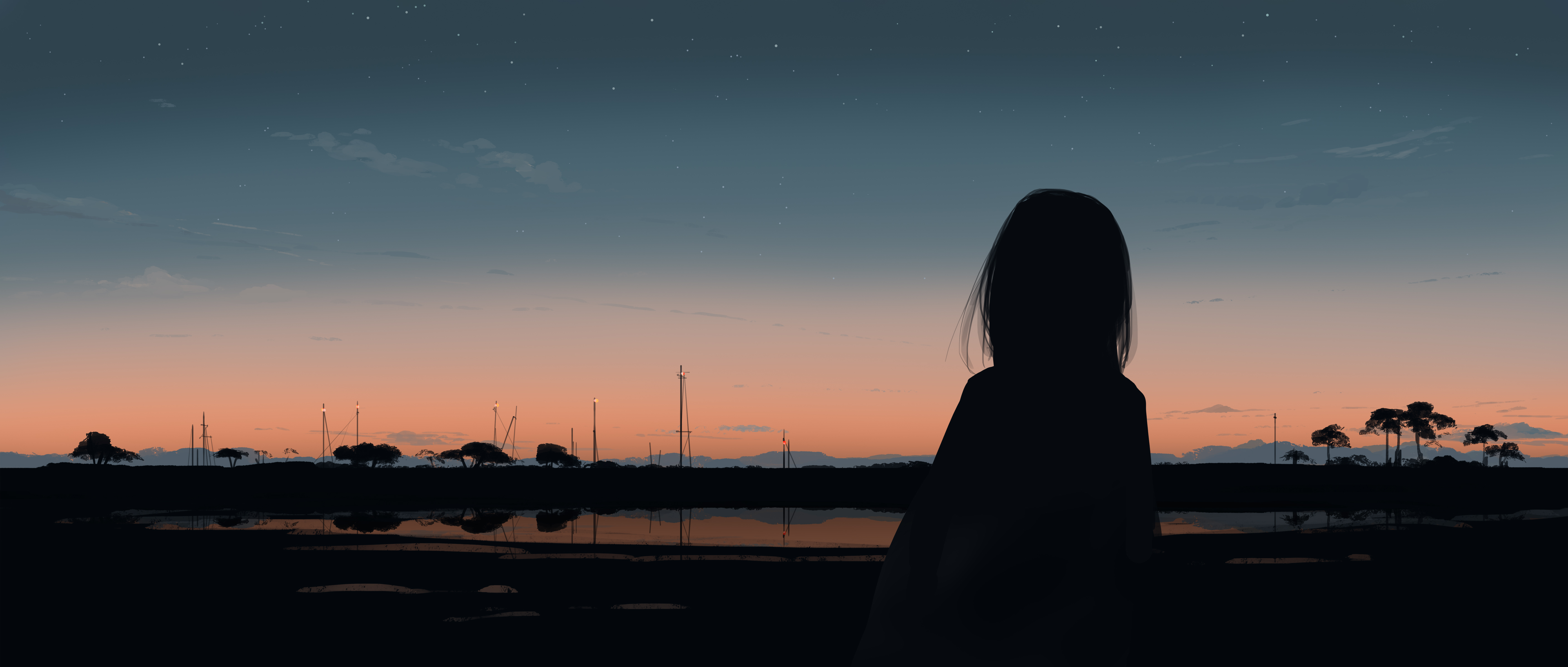 Silhouette of a person against a sunset sky with stars HD Wallpaper