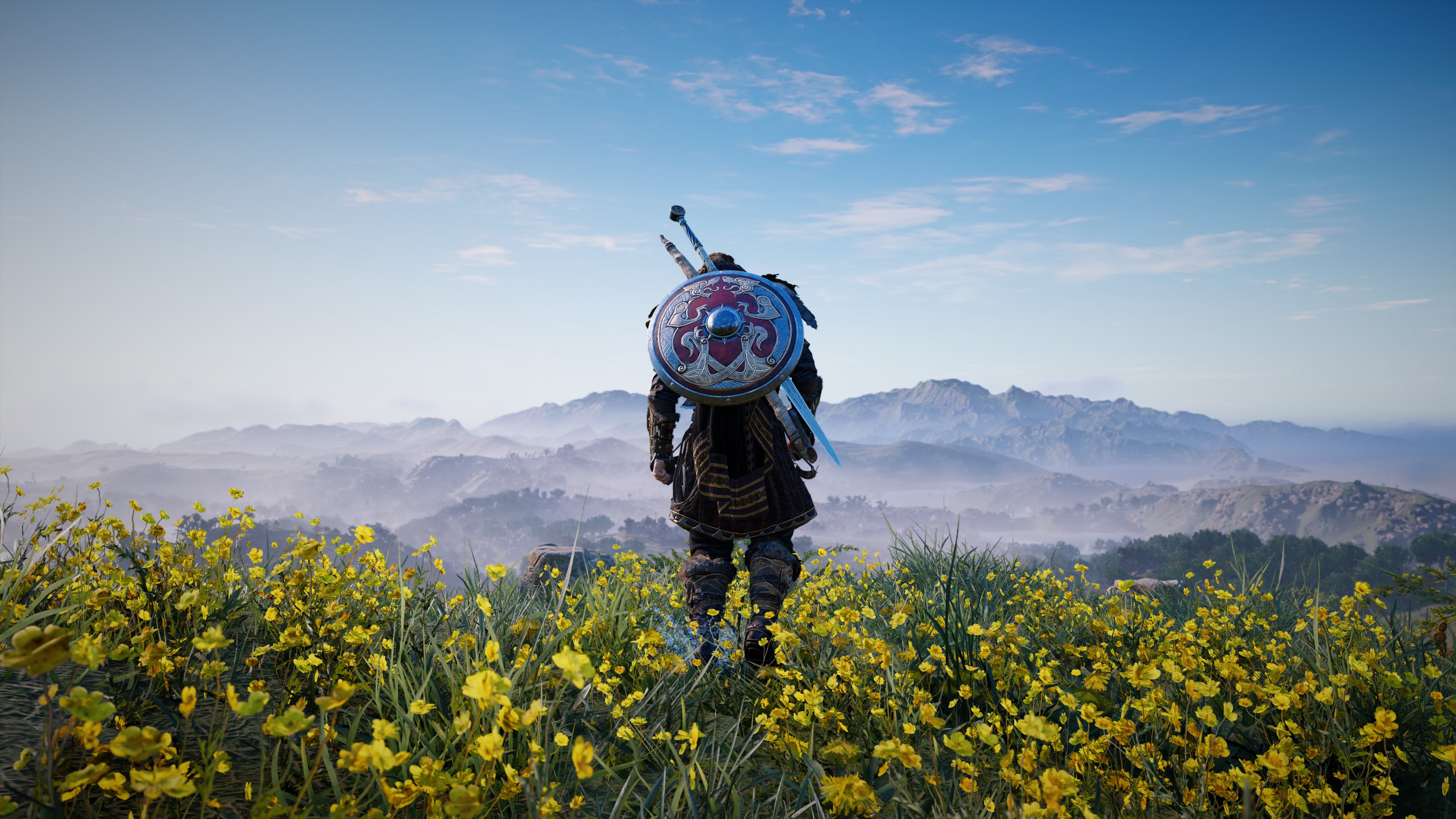Assassins Creed Valhalla: Viking warrior in a field of flowers HD Wallpaper
