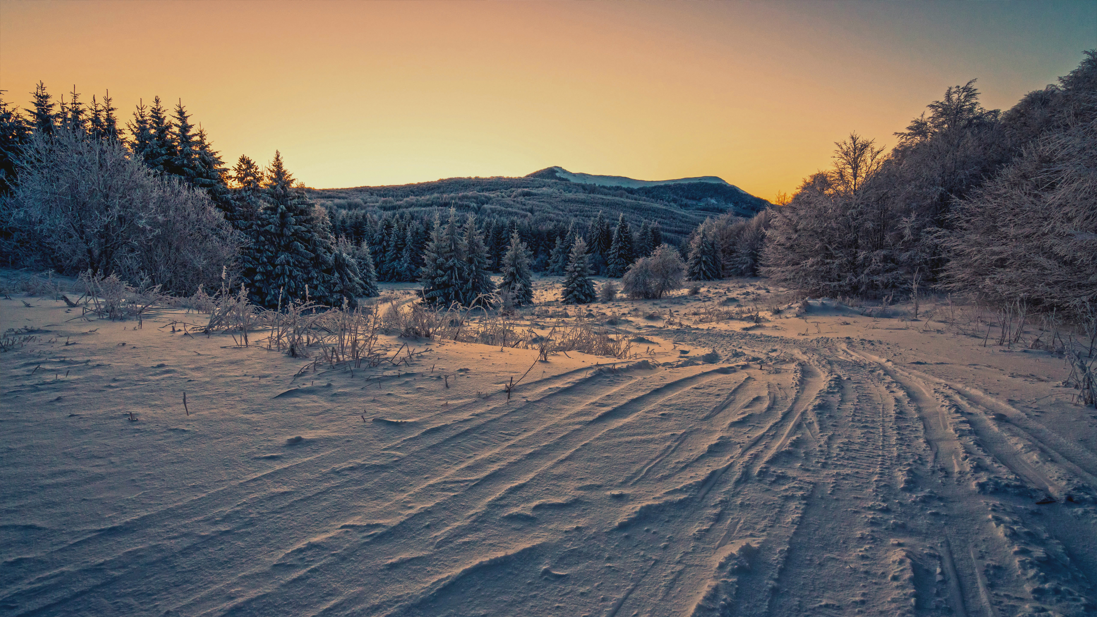 Snowy landscape with tire tracks at sunset HD Wallpaper