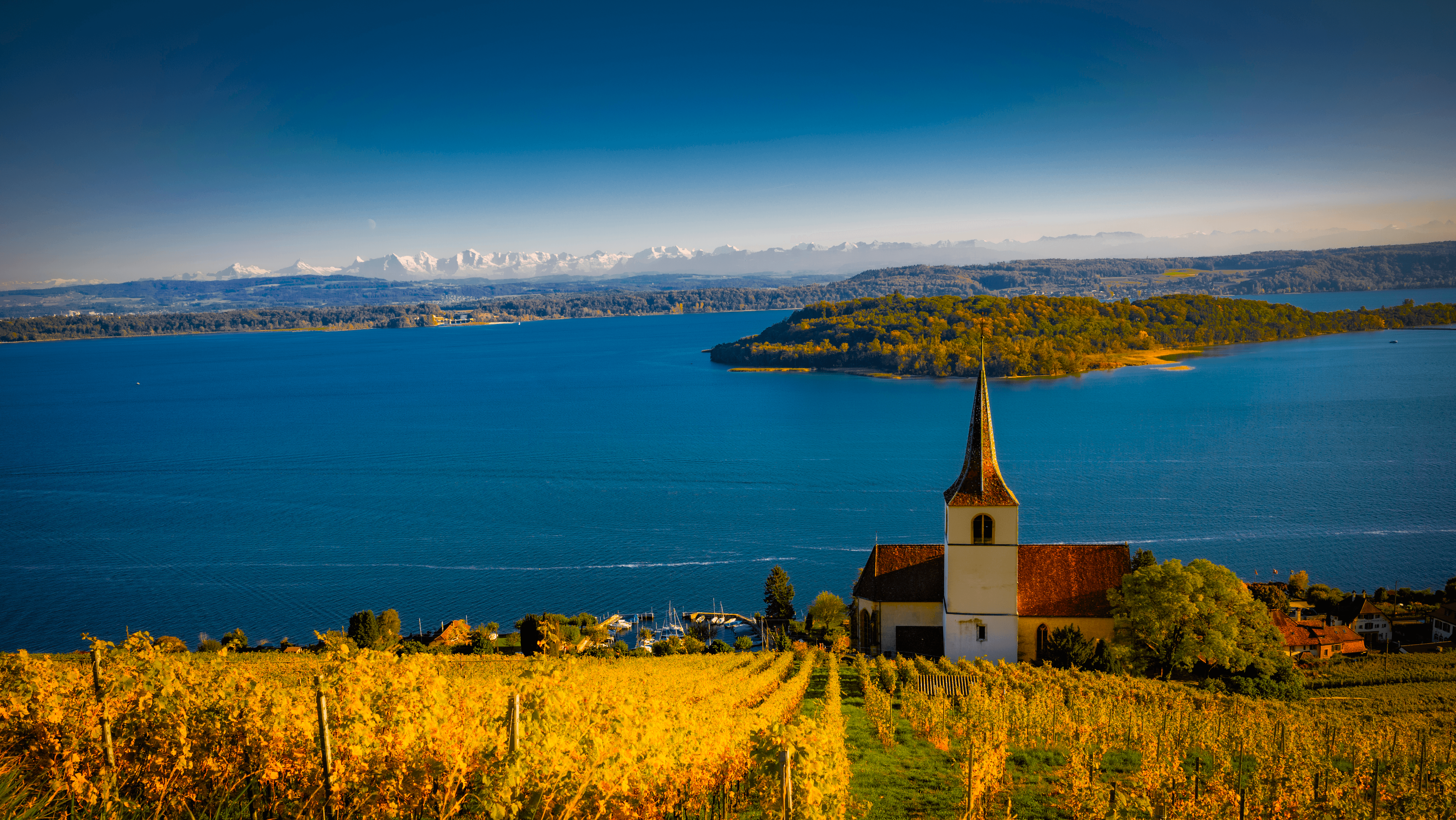 Boat on a lake with vineyard and mountains HD Wallpaper