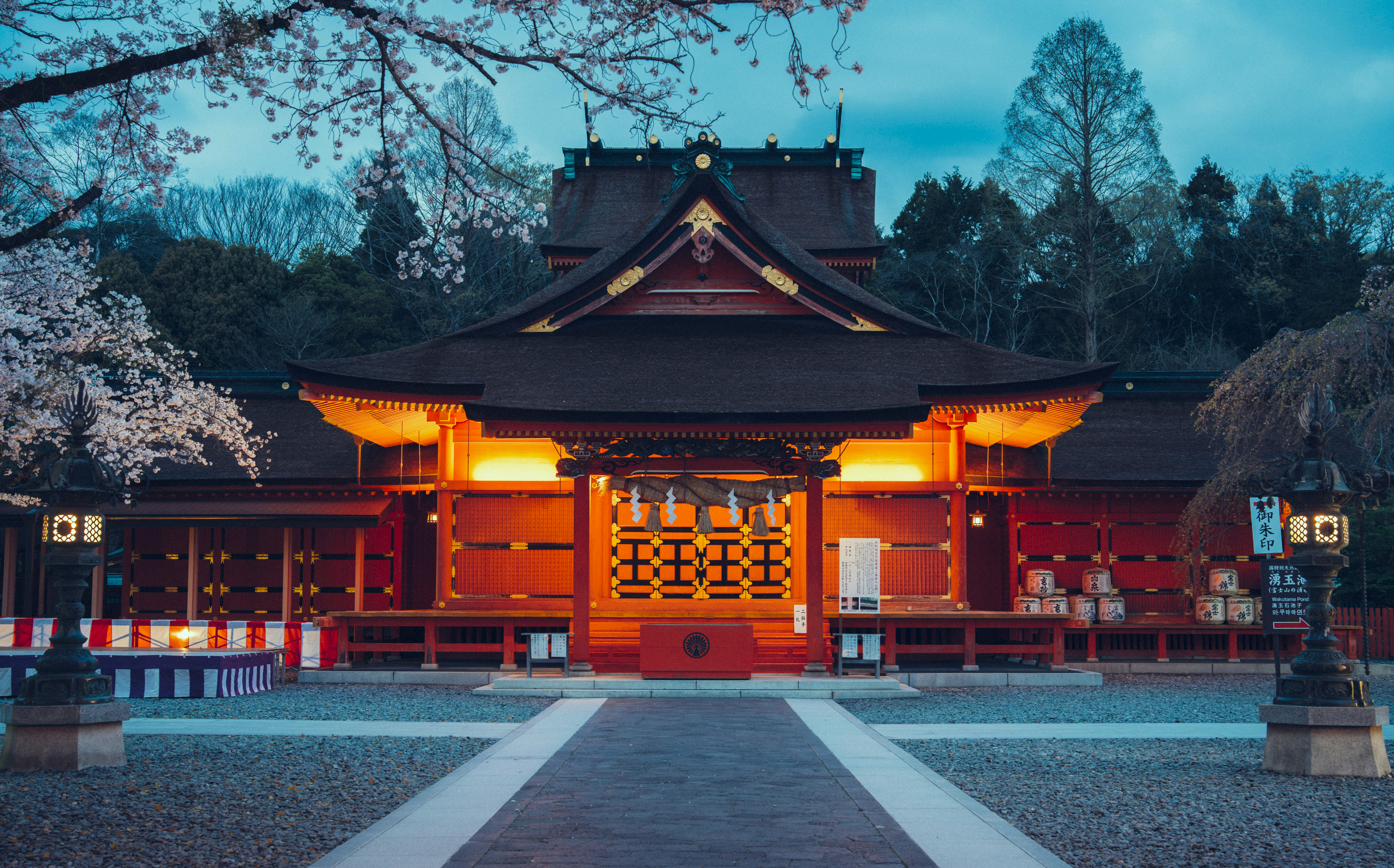 Japanese Shrine with Cherry Blossoms at Dusk HD Wallpaper