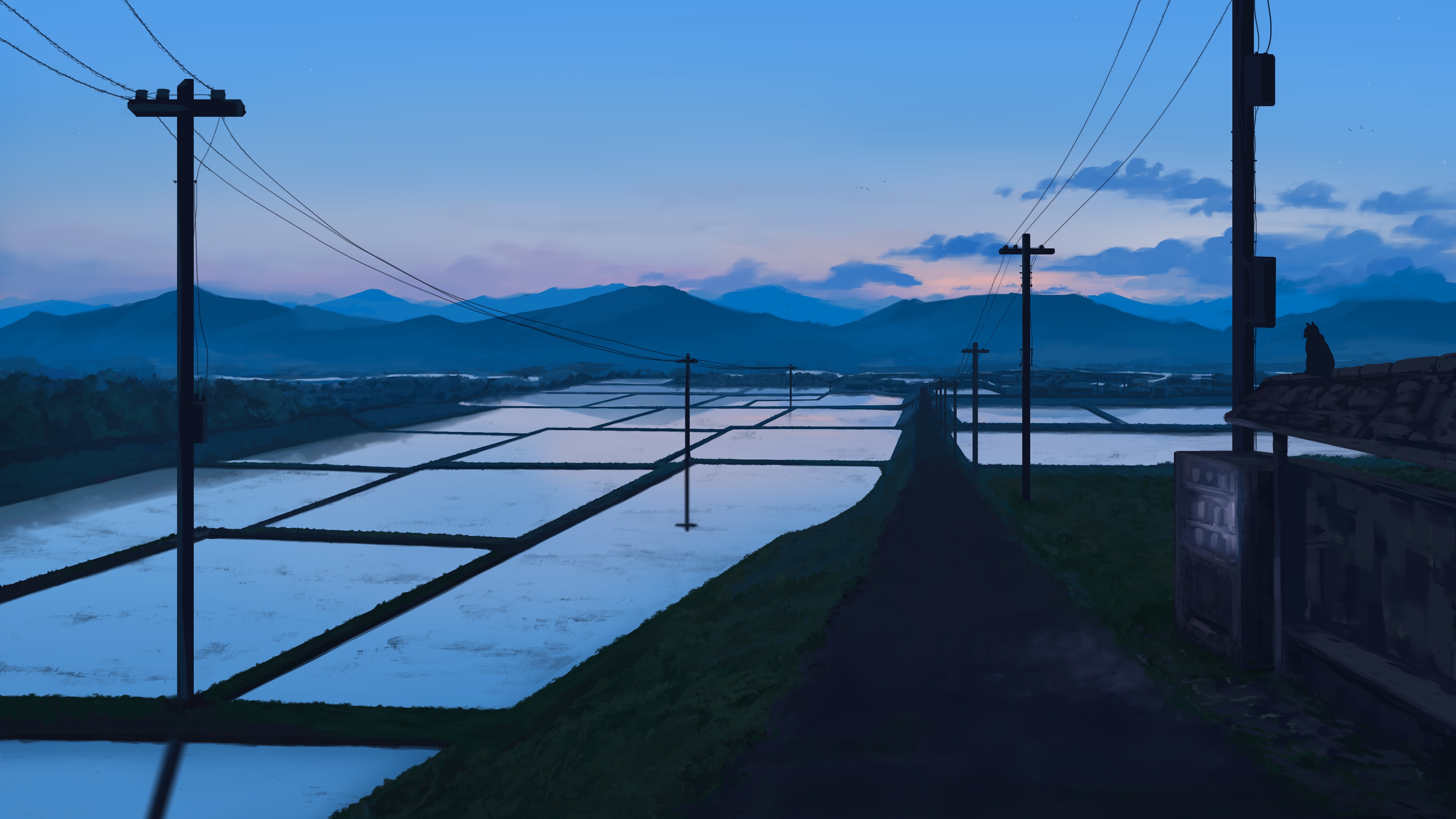 Evening over rice fields and mountains HD Wallpaper