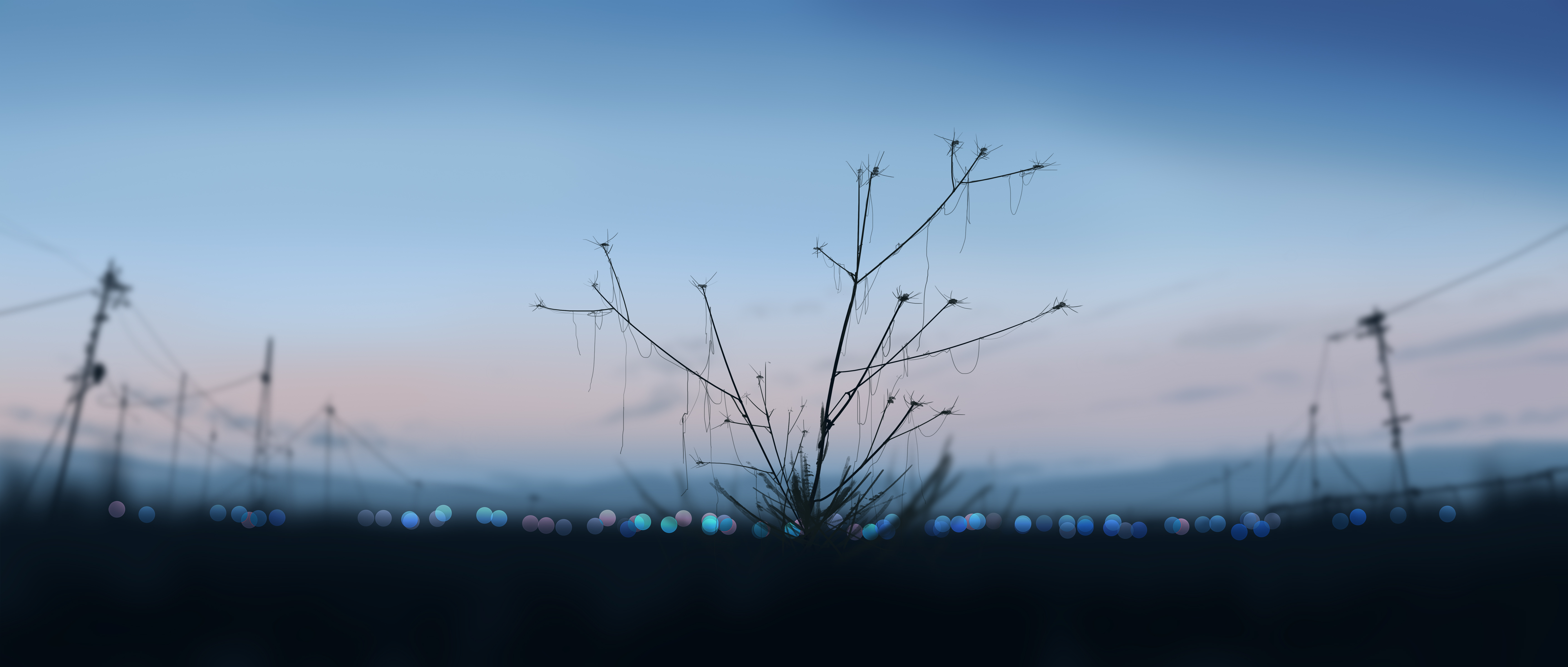 Silhouette of a bare plant against a bokeh background HD Wallpaper