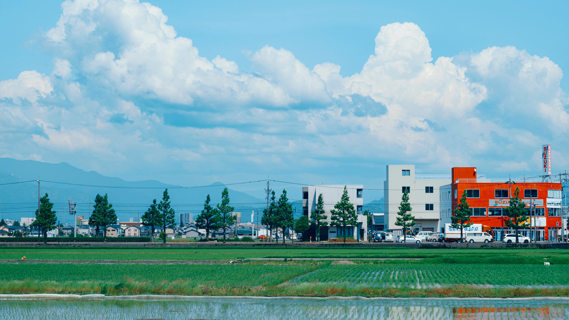 Cars parked in front of buildings with rice fields HD Wallpaper