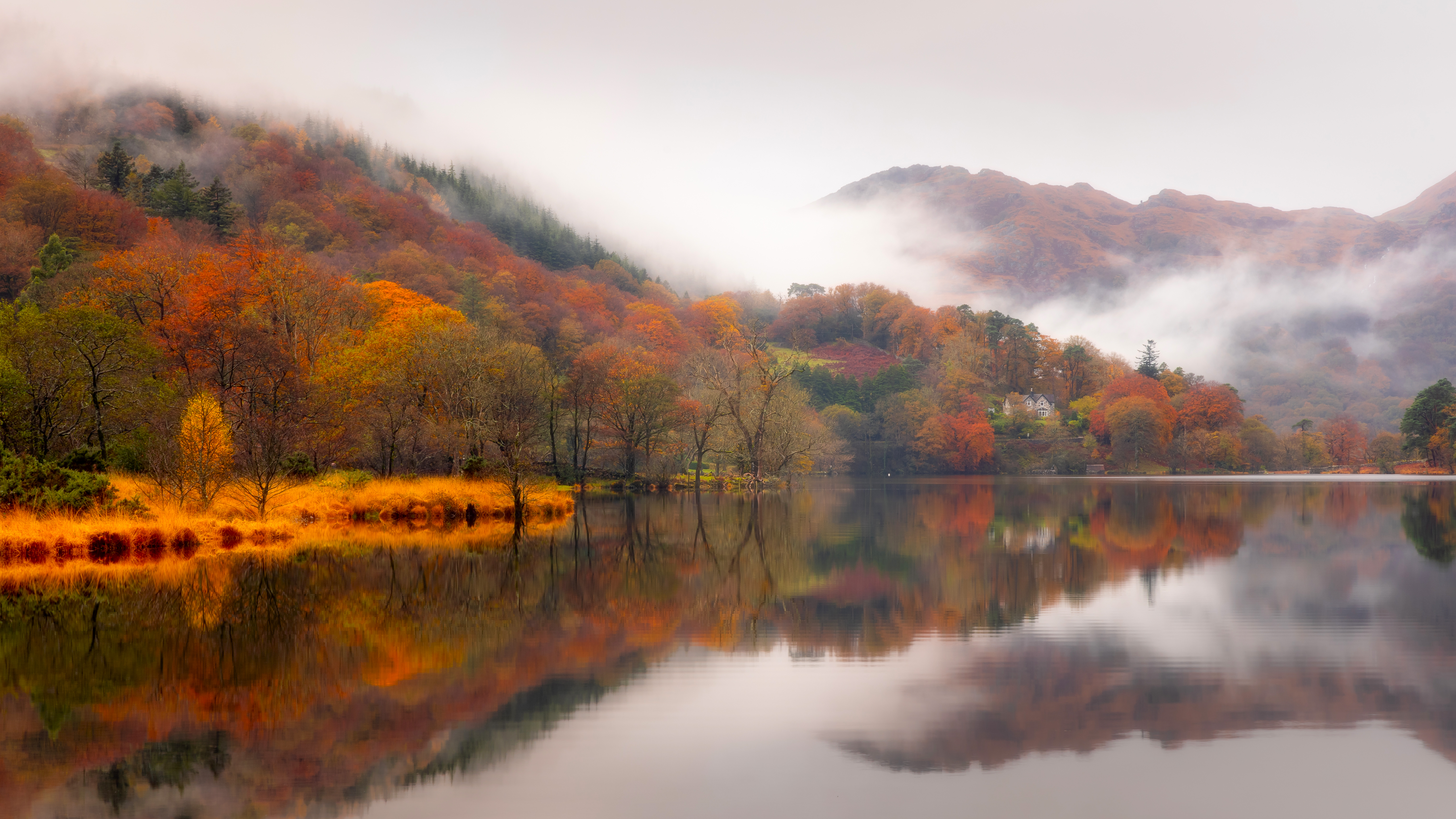 Autumn fog over a lake with reflections HD Wallpaper