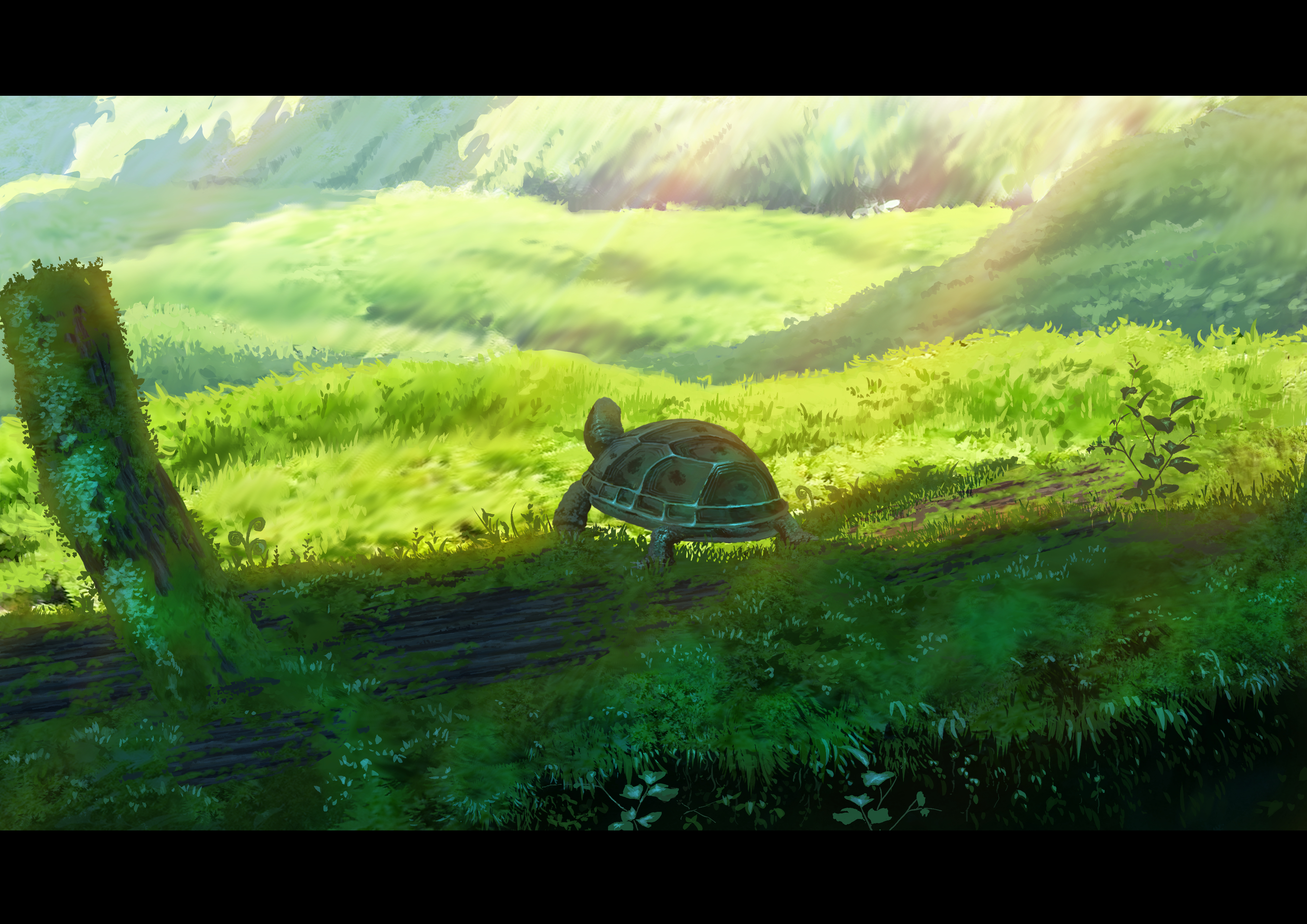 Scenery with a tortoise on a mossy log HD Wallpaper