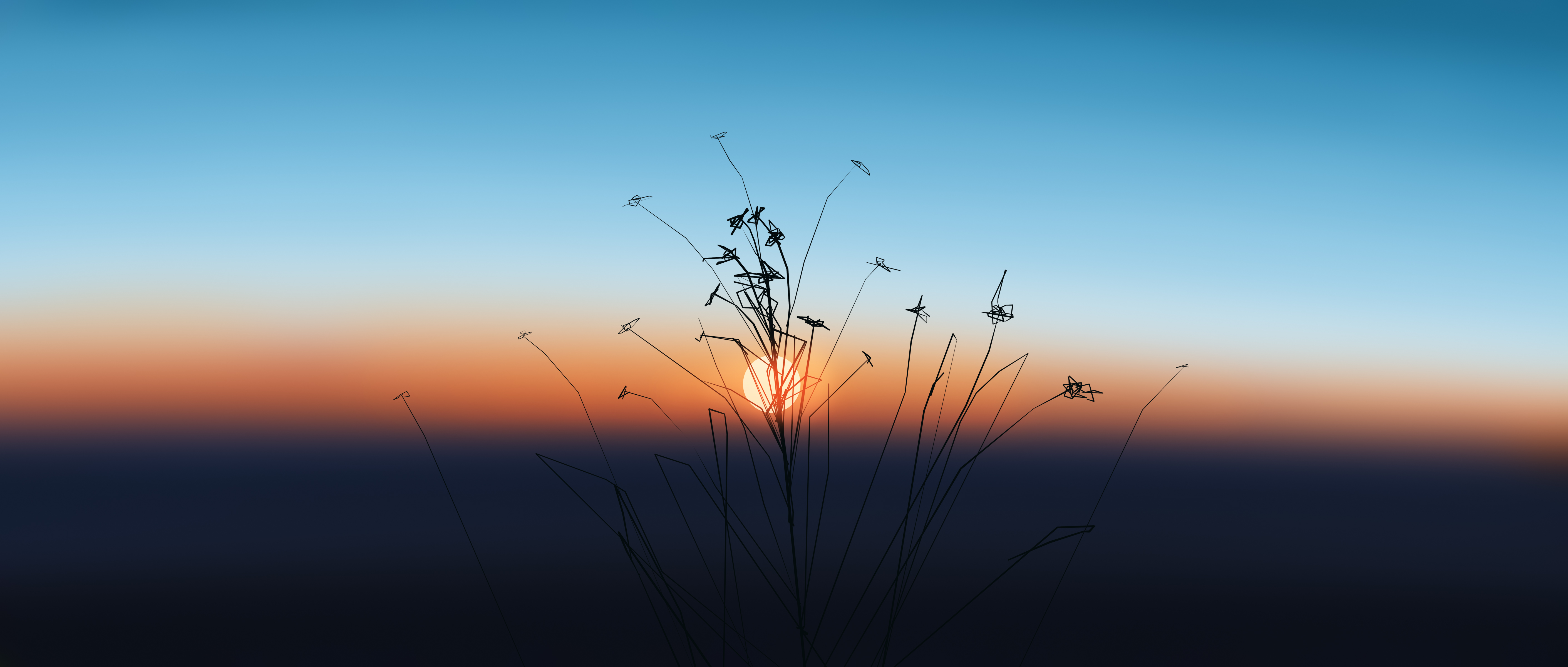 Gracile grass against a sunset gradient HD Wallpaper