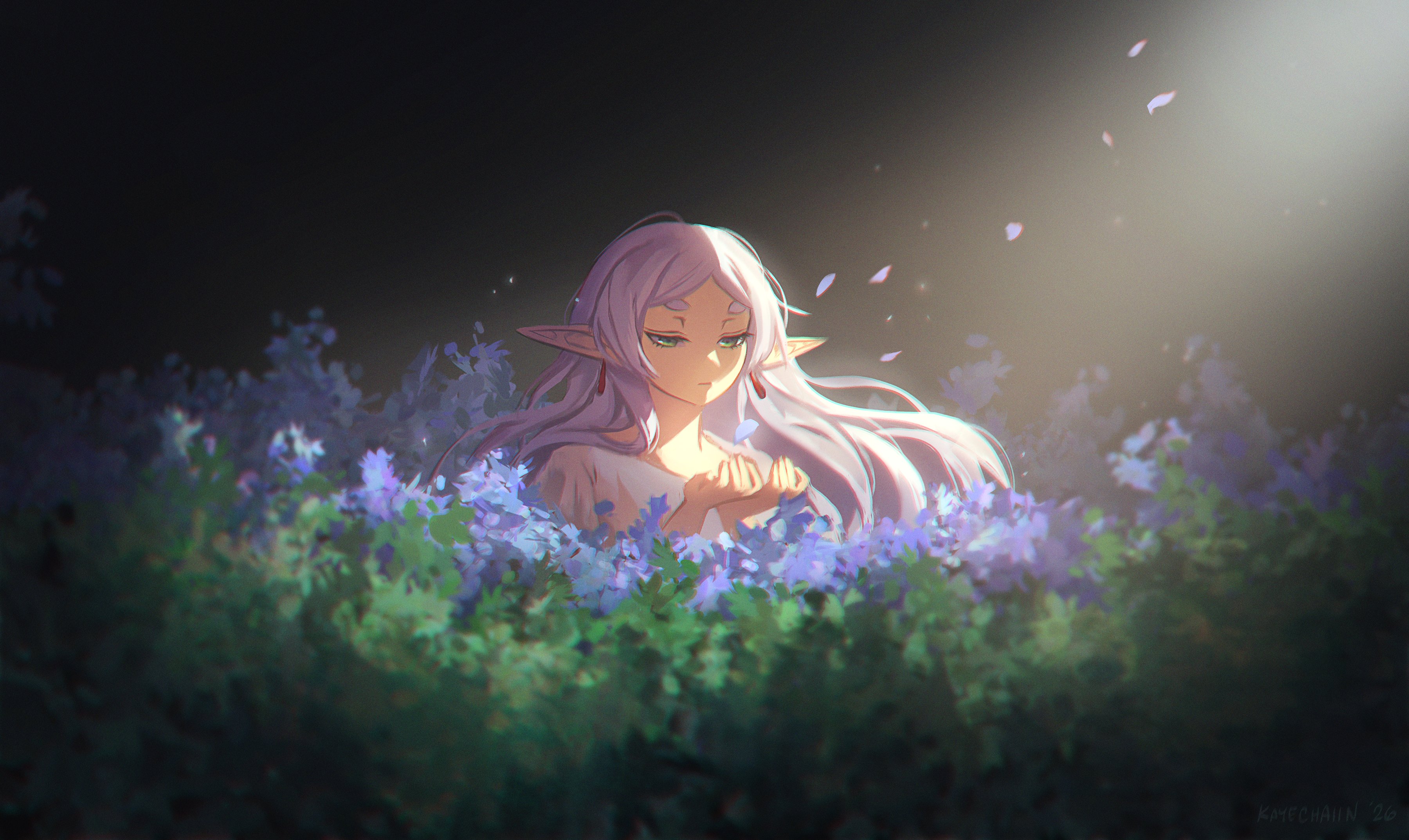 Sousou No Frieren in a field of flowers HD Wallpaper