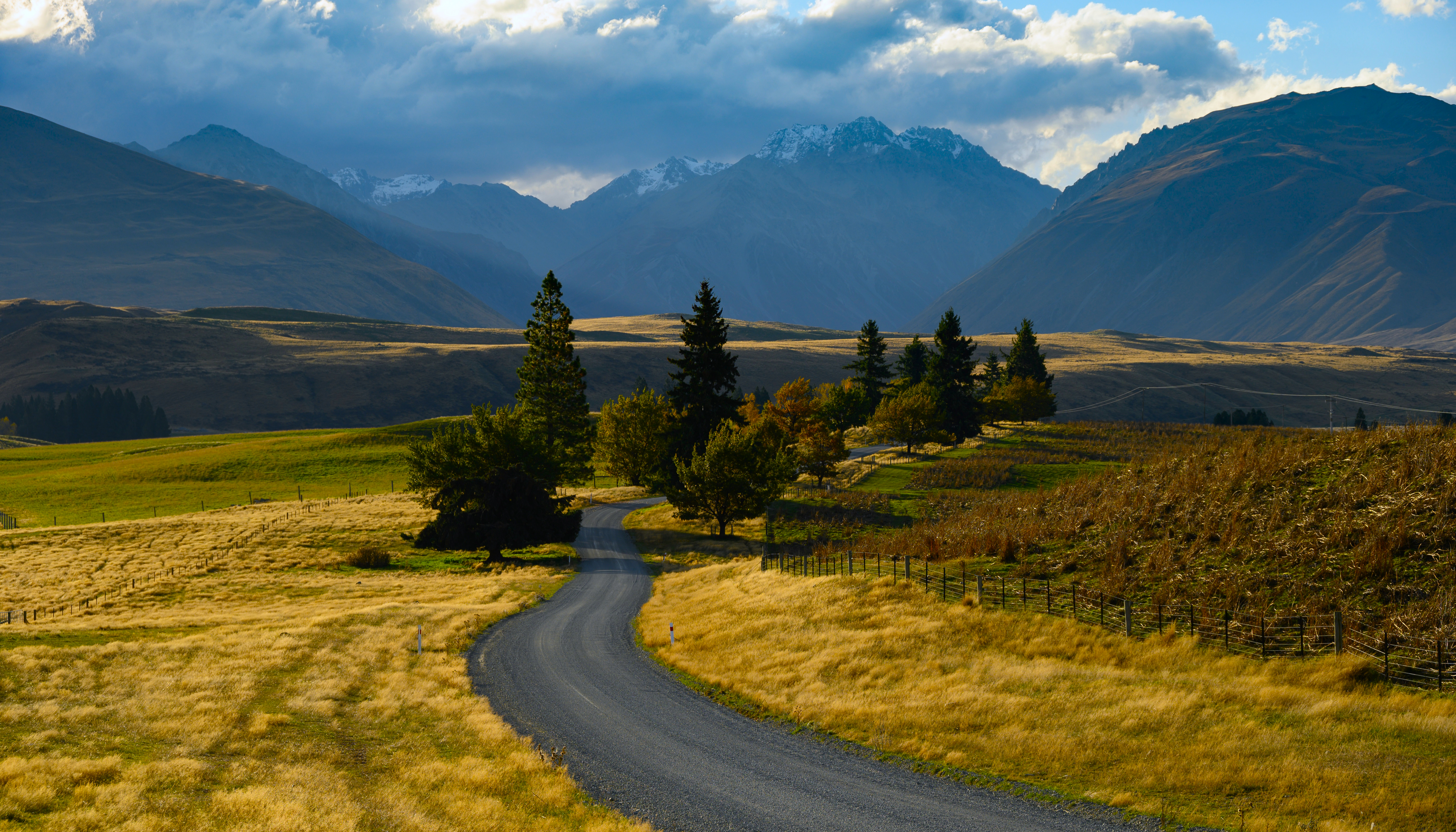 Winding Road Through Golden Fields to Mount Cook, New Zealand HD Wallpaper