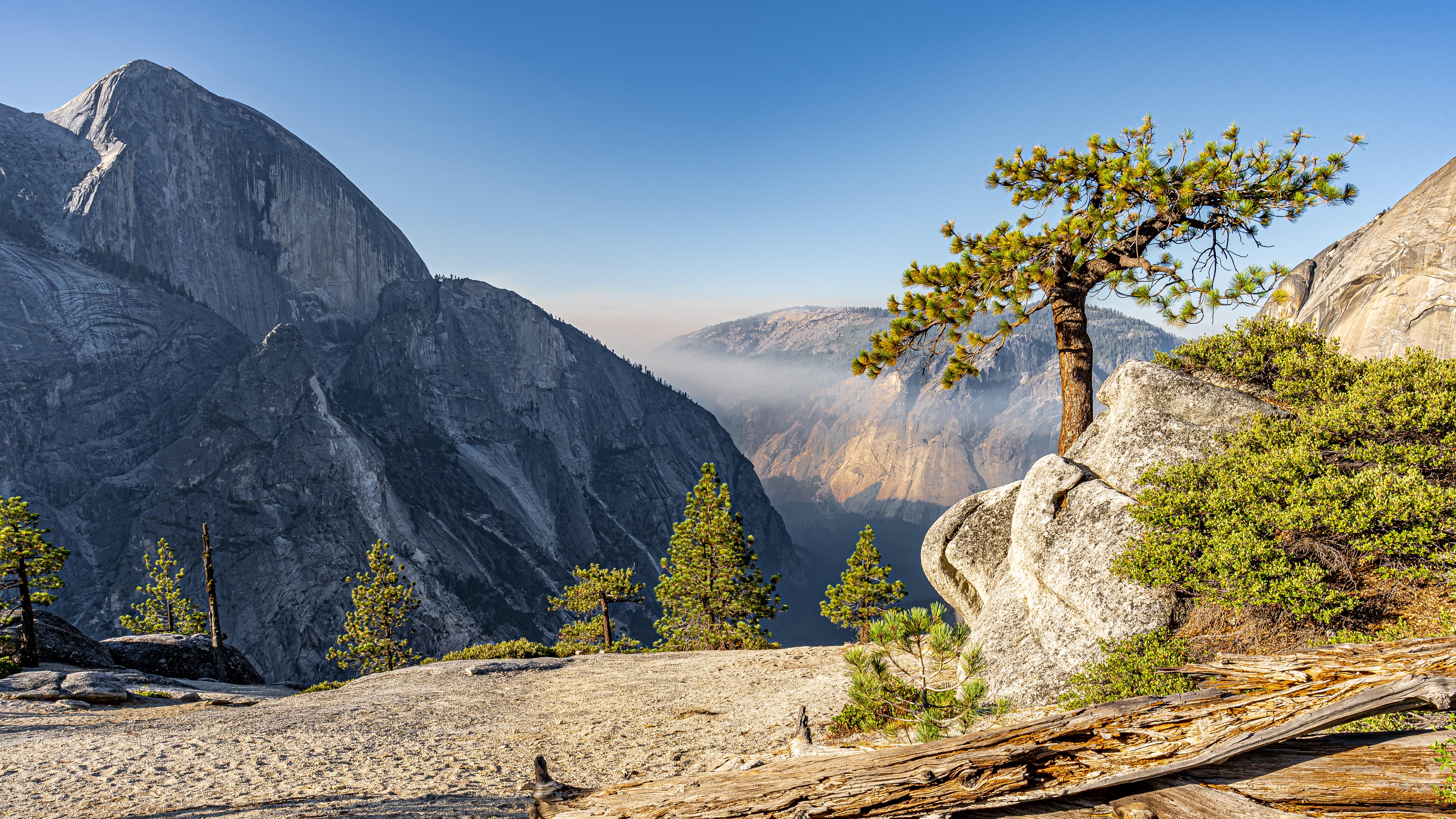 Yosemite National Park Landscape with Half Dome and Trees HD Wallpaper