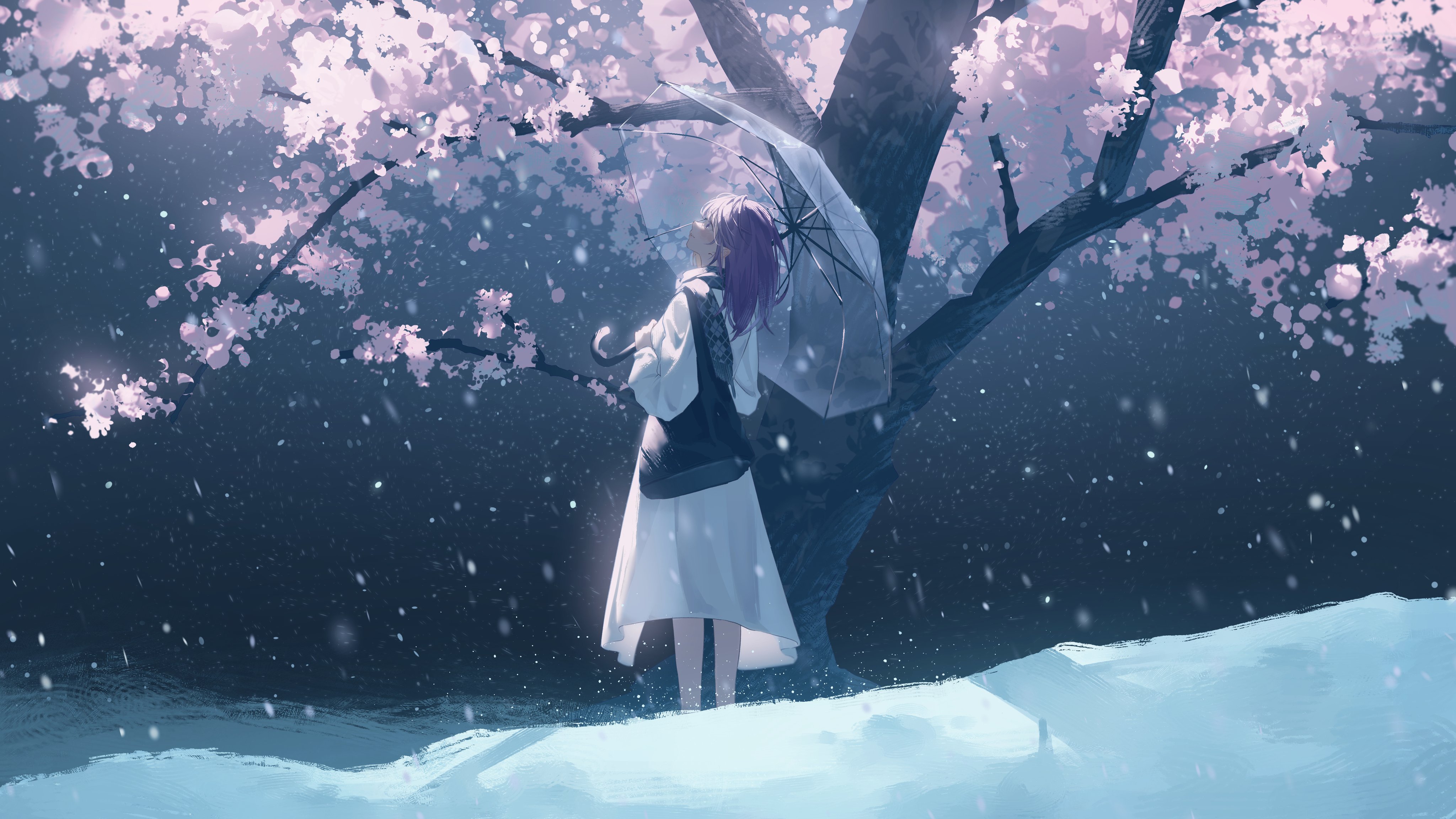 Anime girl Ryane under a cherry blossom tree in snow HD Wallpaper