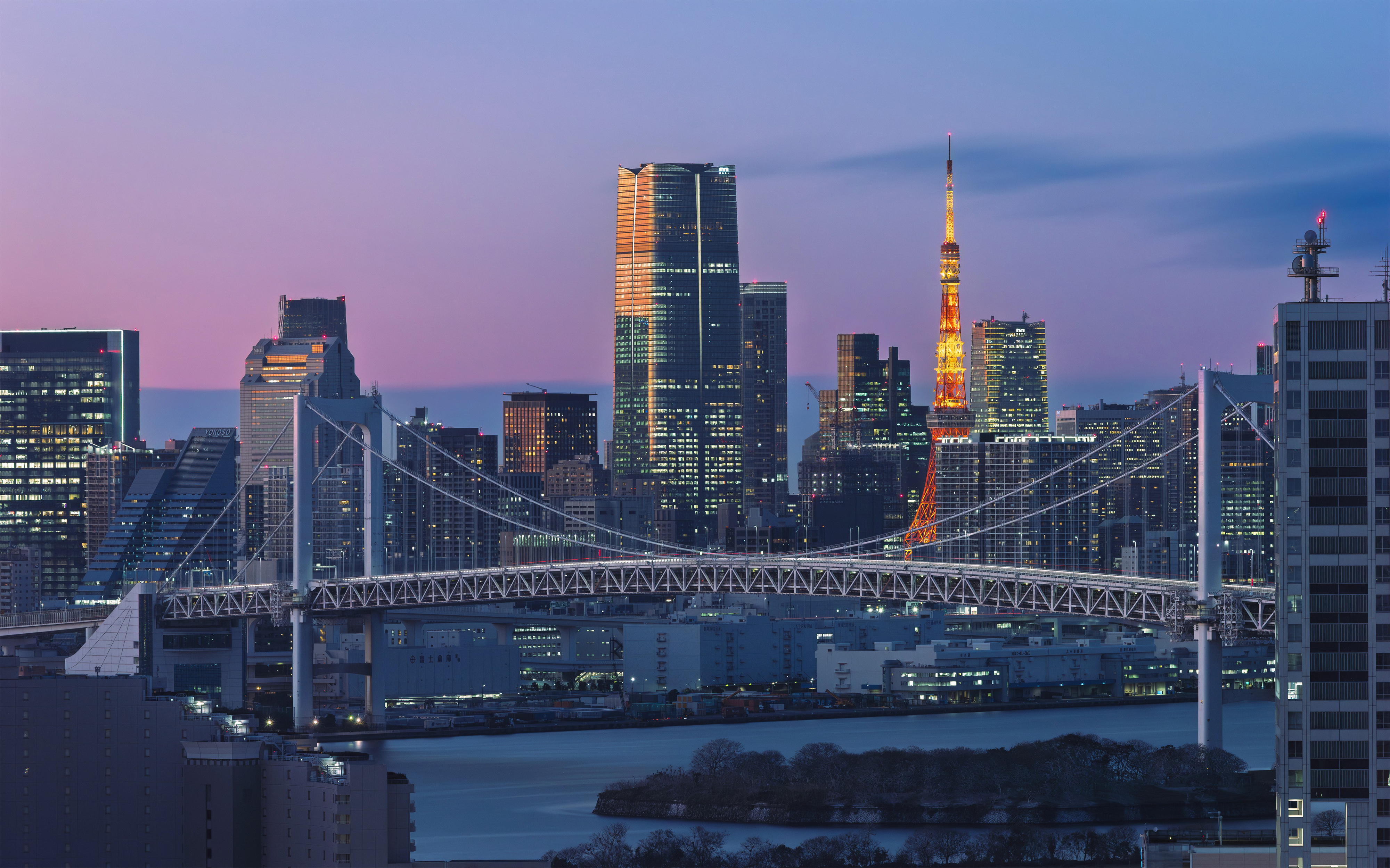 Tokyo cityscape with Rainbow Bridge and Tokyo Tower at dusk HD Wallpaper