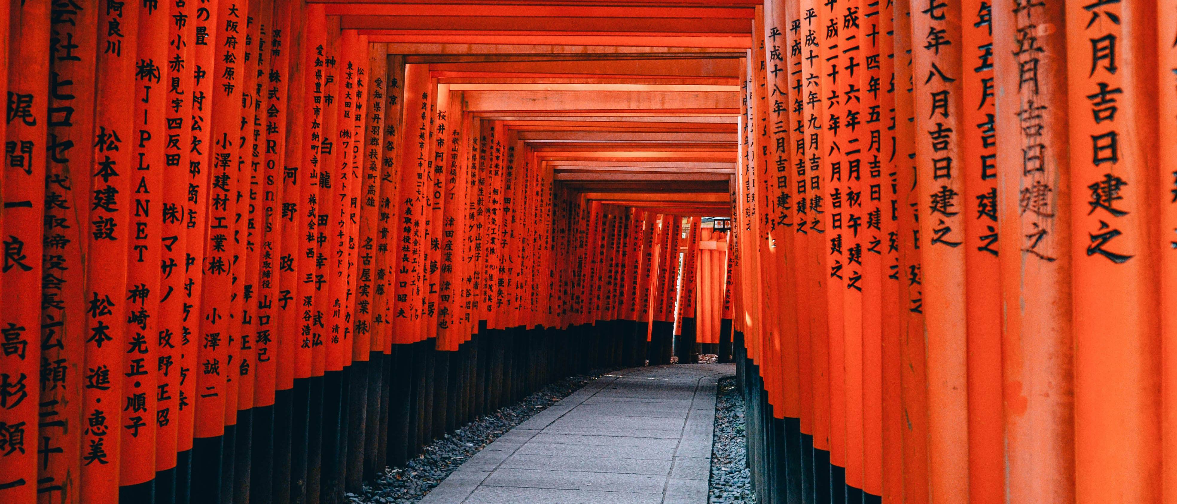 Orange Torii Gates Path in Japan HD Wallpaper