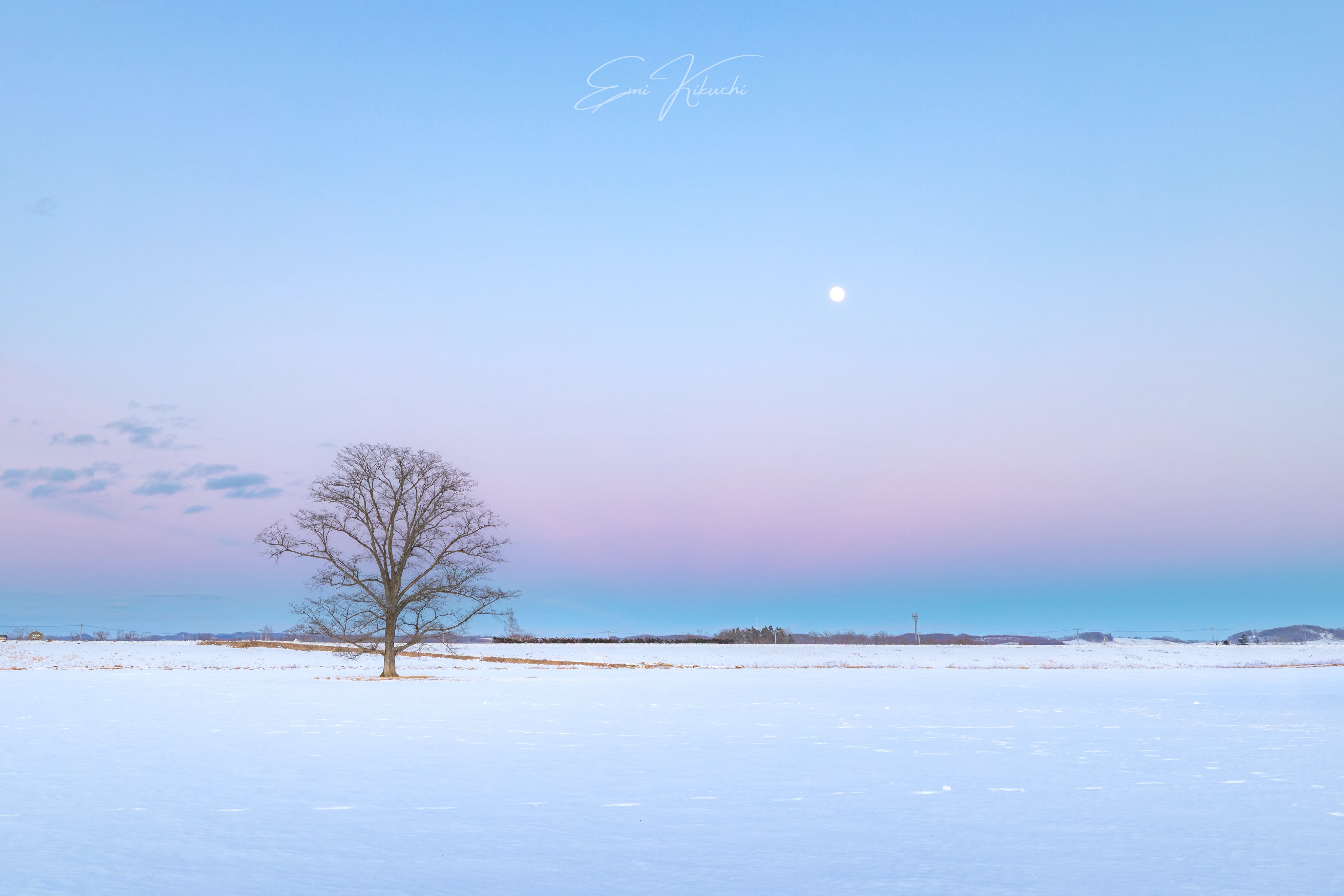 Lone tree in a snowy field under a gradient sky with the moon HD Wallpaper