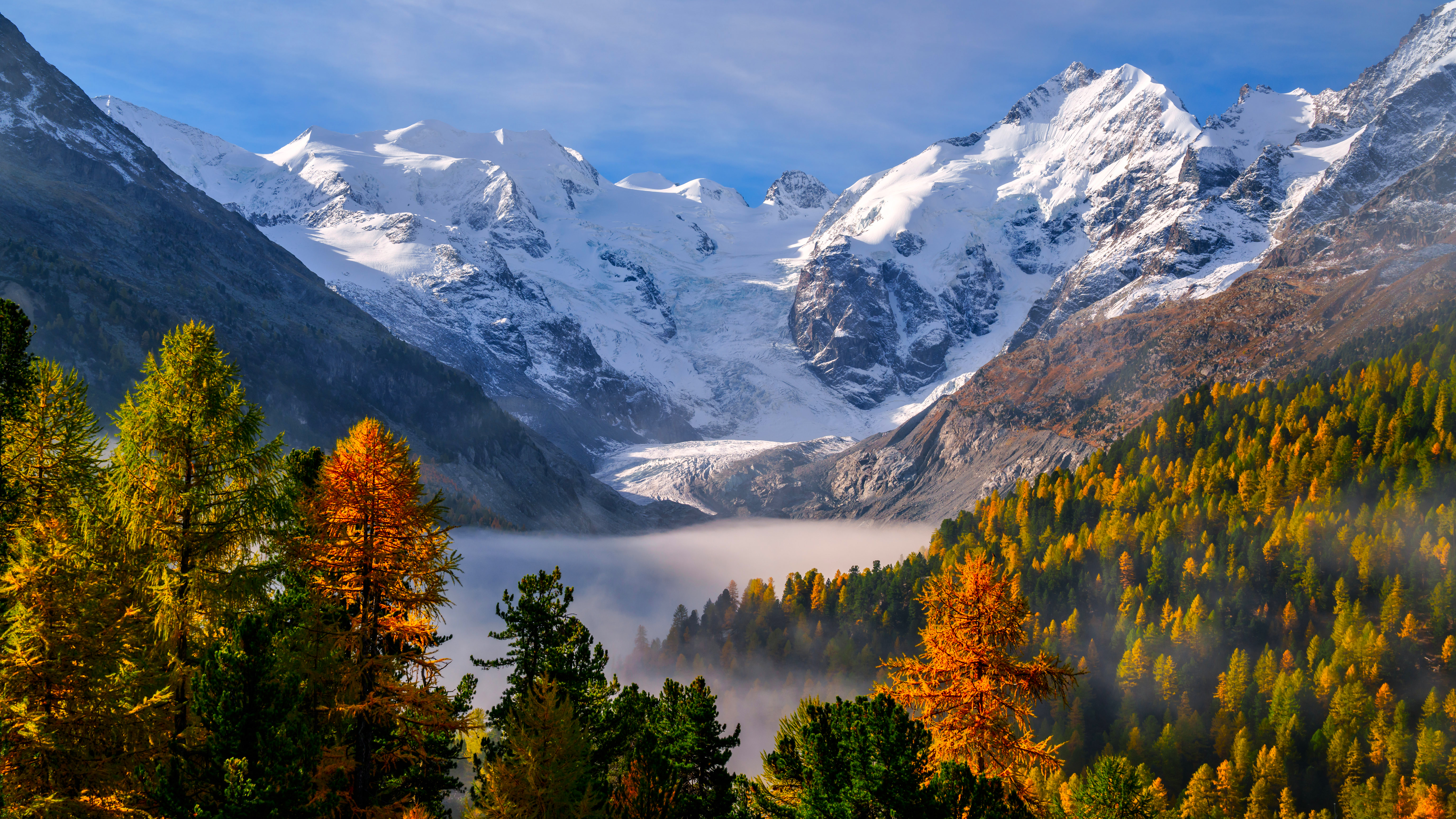 Autumn forest and misty valley below snow-capped mountains and glacier HD Wallpaper