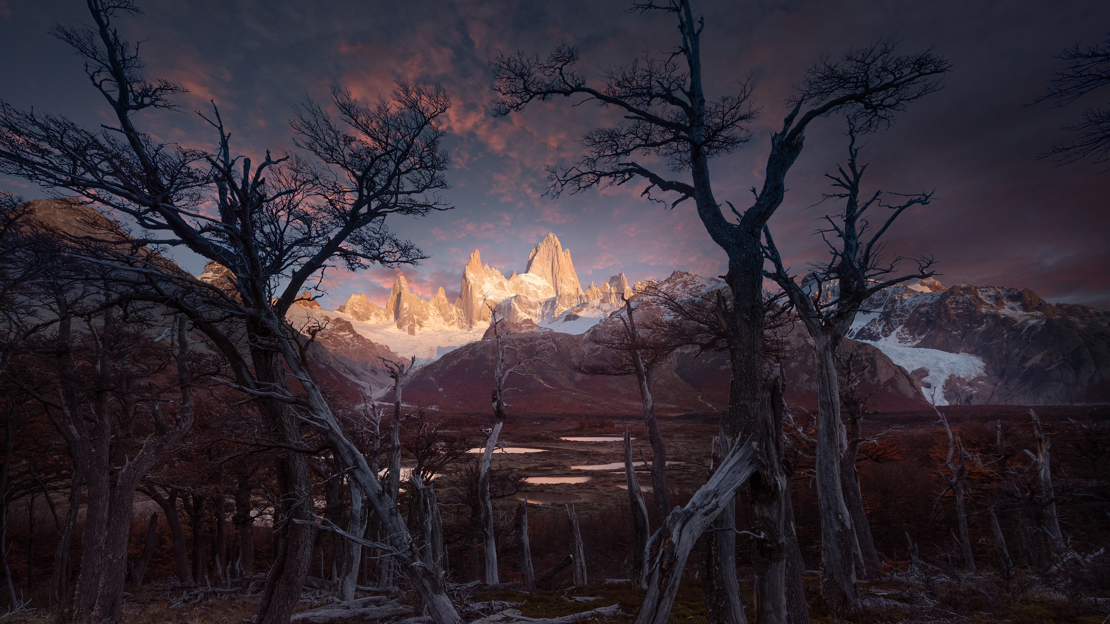 Fitz Roy Mountain and Trees at Sunrise in Patagonia HD Wallpaper