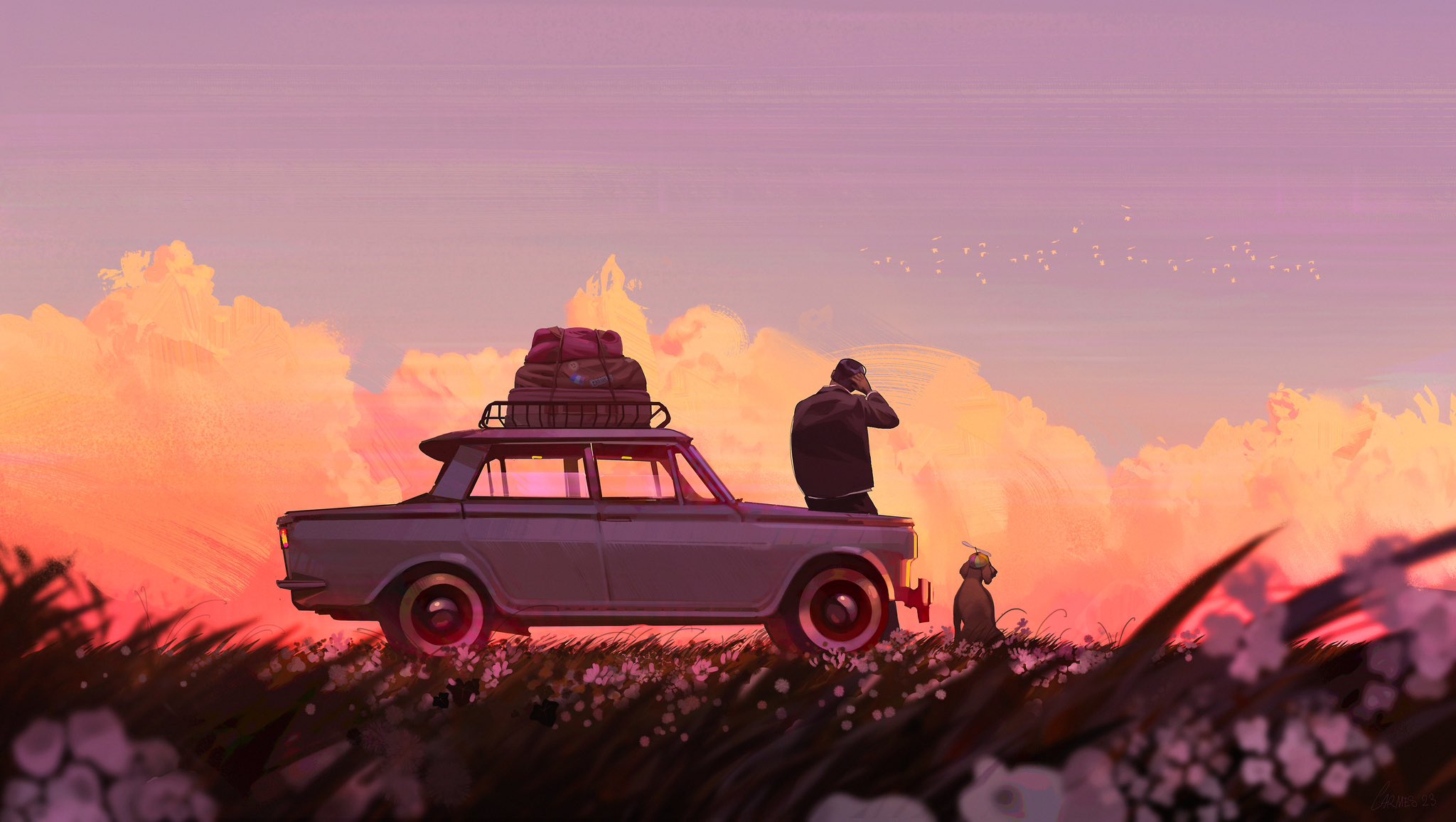 Man and dog watch sunset from car on grassy hill HD Wallpaper