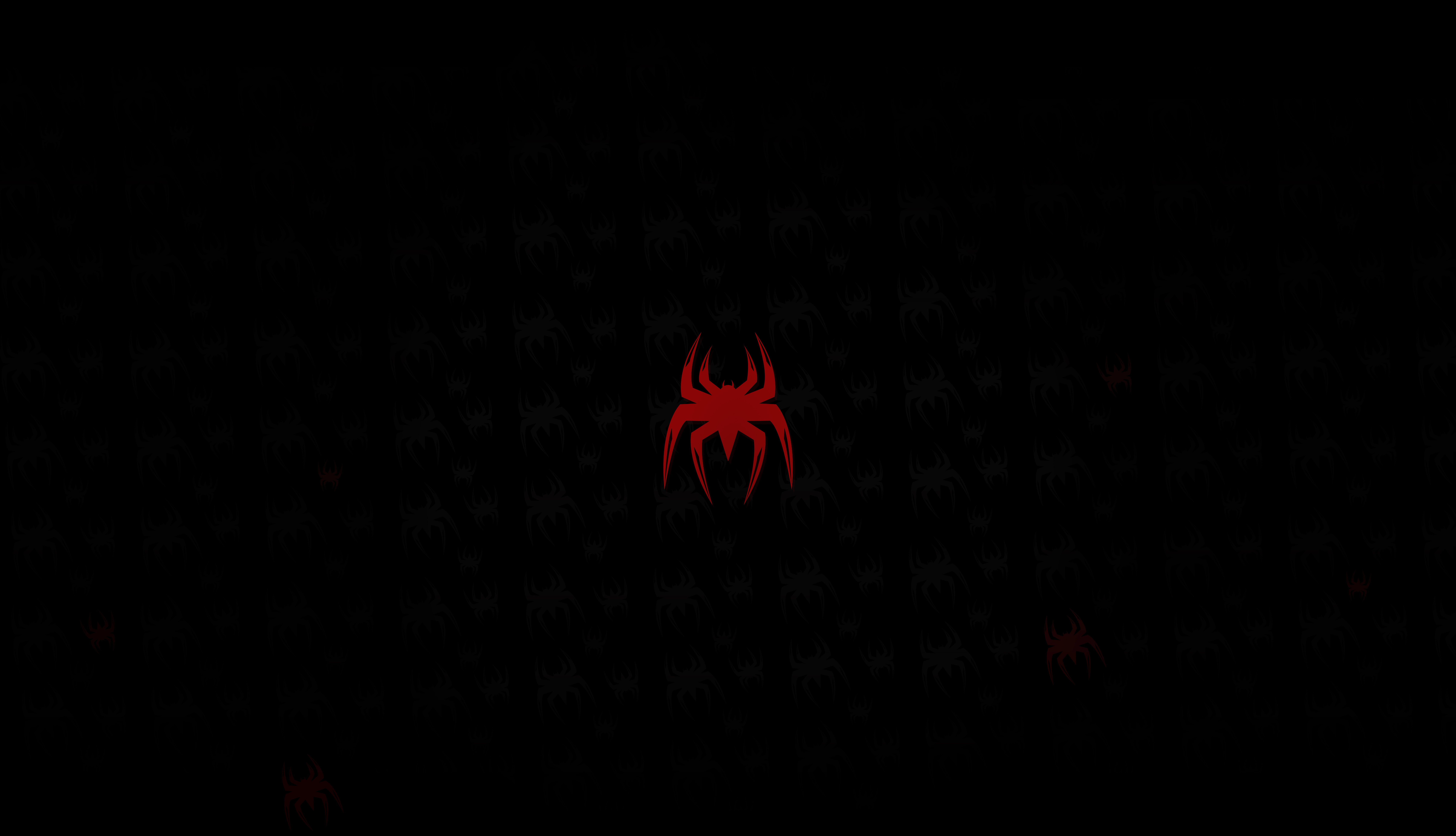Spider-Man logo on a dark background HD Wallpaper