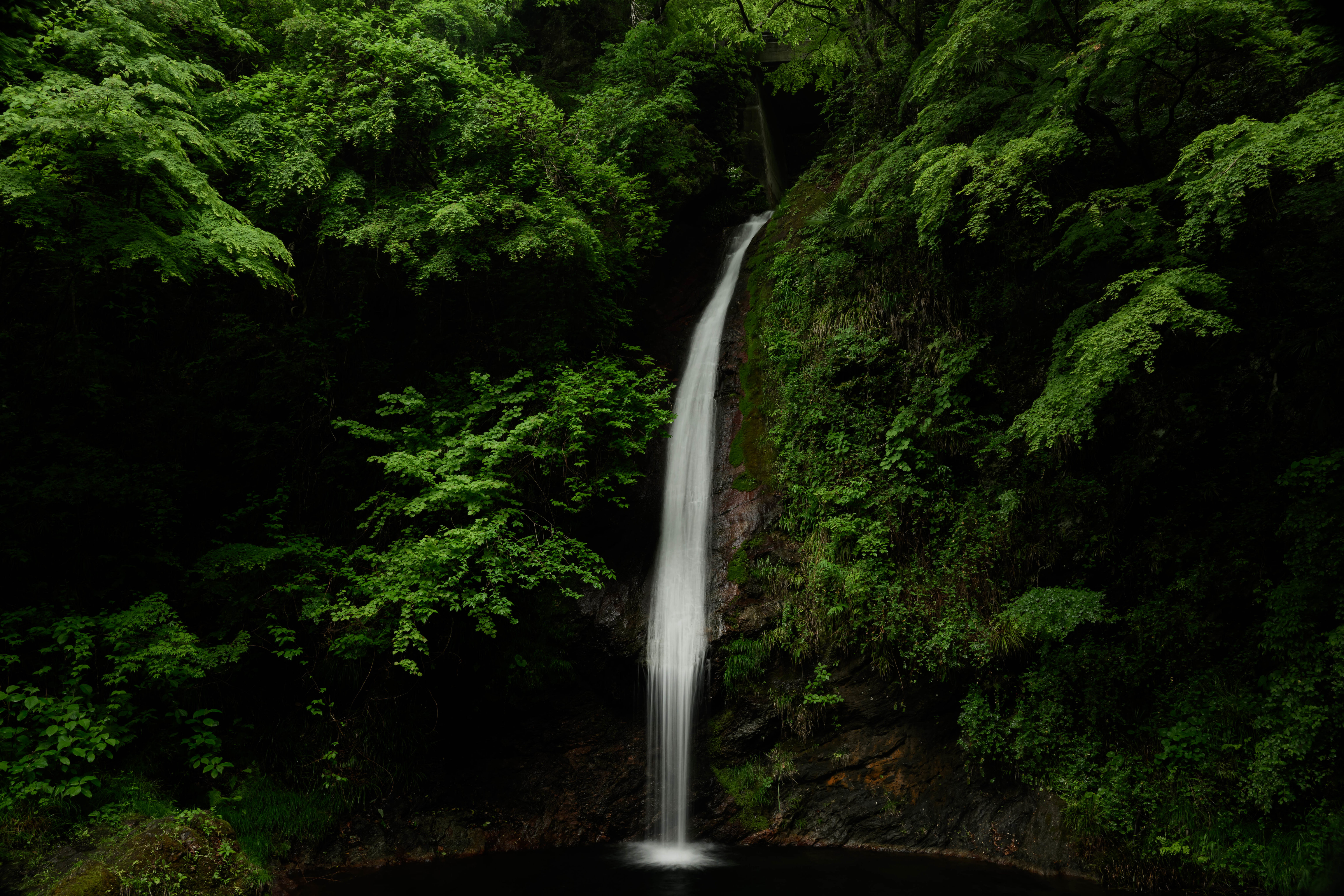 Waterfall cascading through a dense green forest in Japan HD Wallpaper