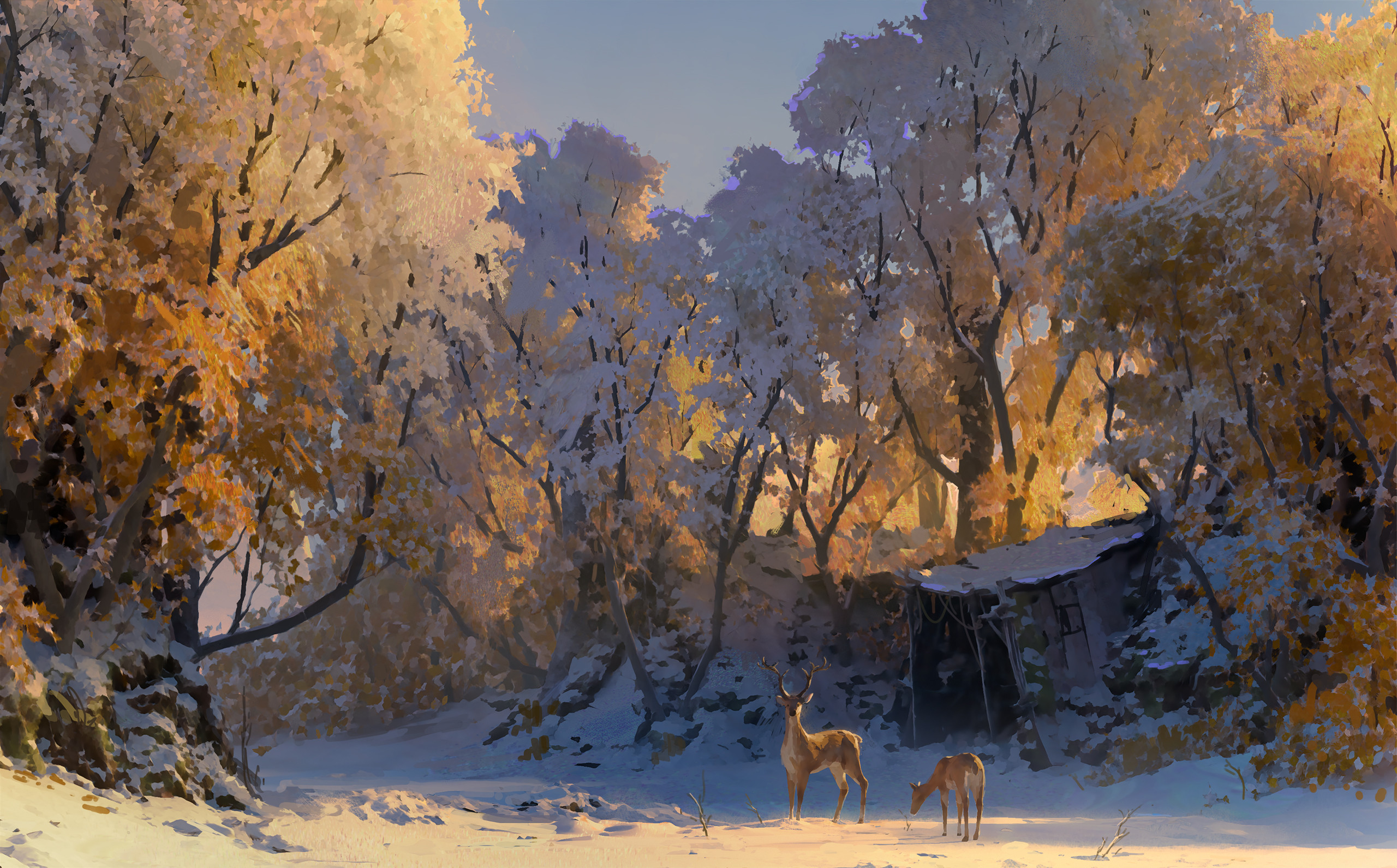 Scenery of a snowy forest with deer HD Wallpaper