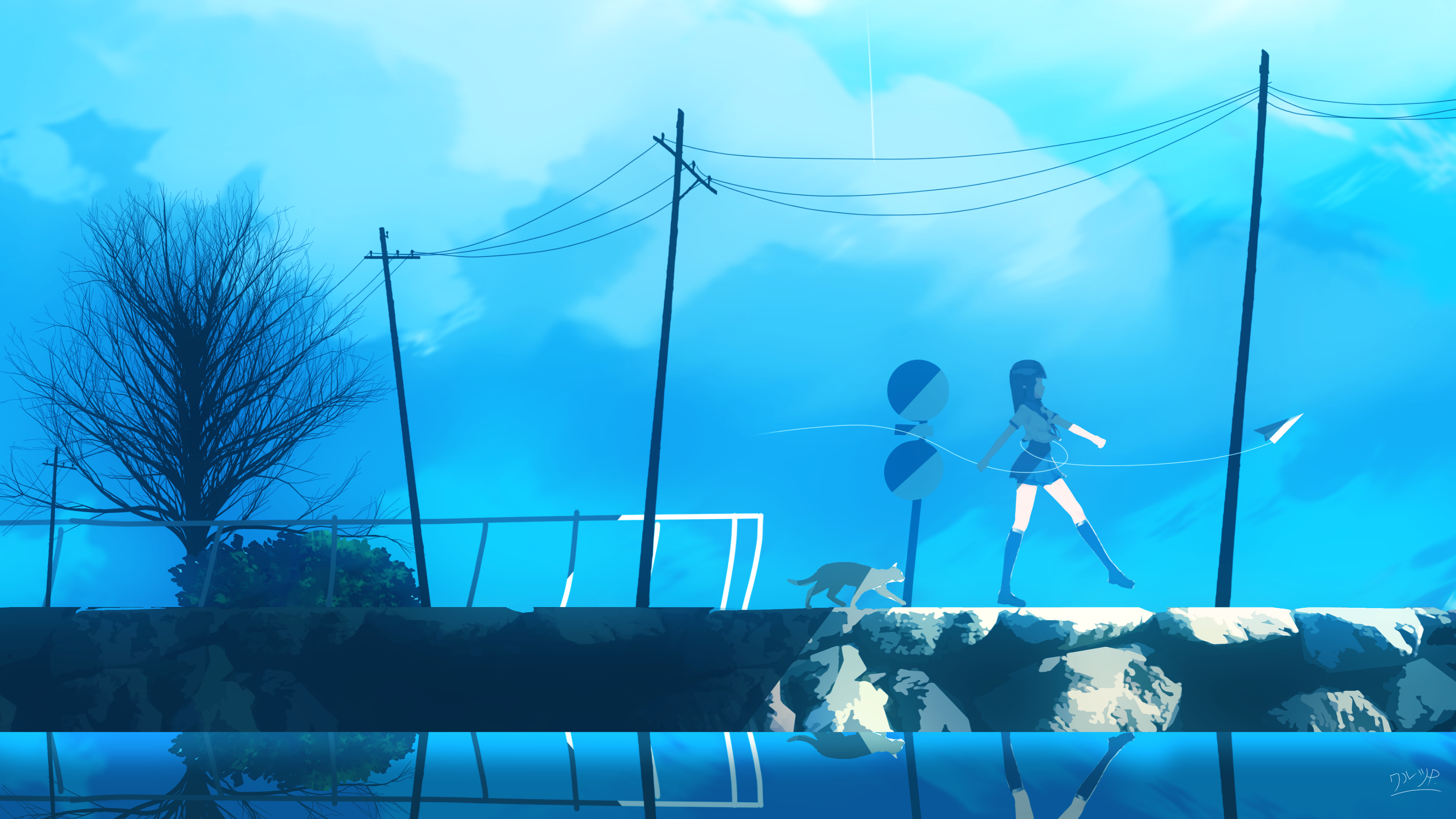 Anime girls walking with a cat HD Wallpaper