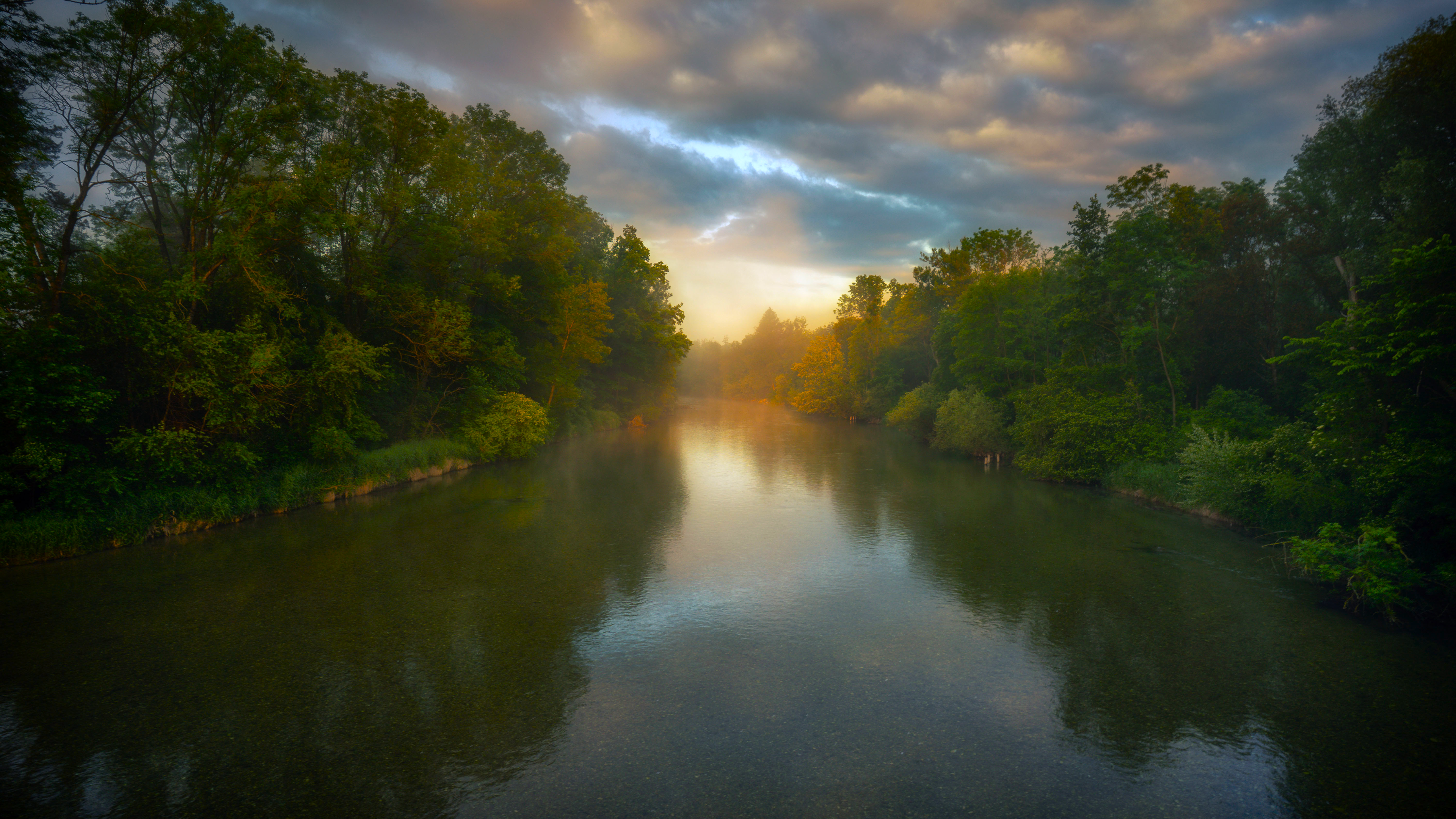River flowing through a forest at sunrise HD Wallpaper