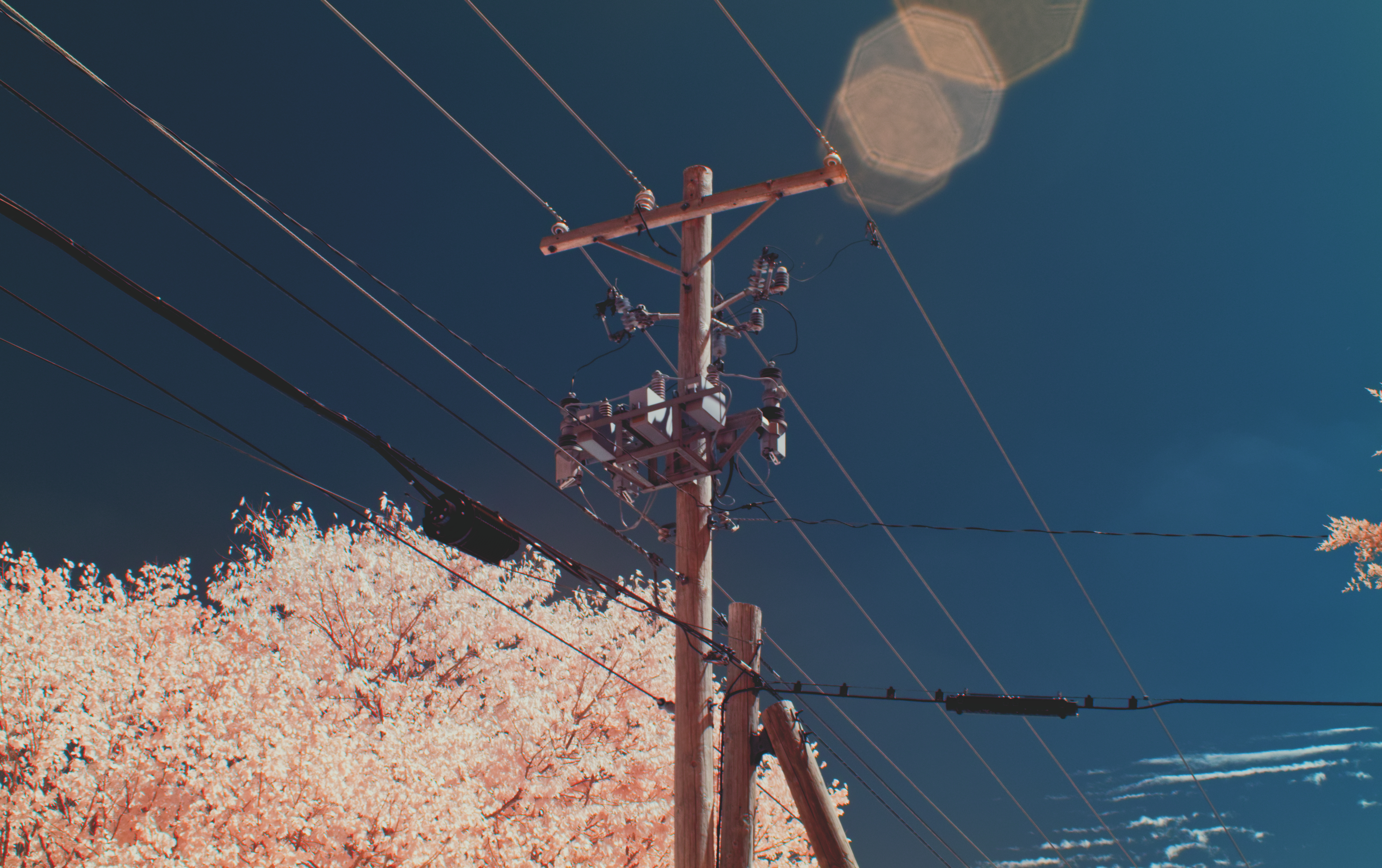 Infrared photography of a utility pole with transformer HD Wallpaper