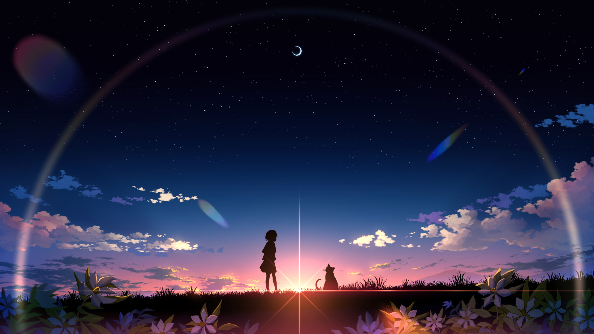 Anime girl and cat under starry sky with rainbow HD Wallpaper
