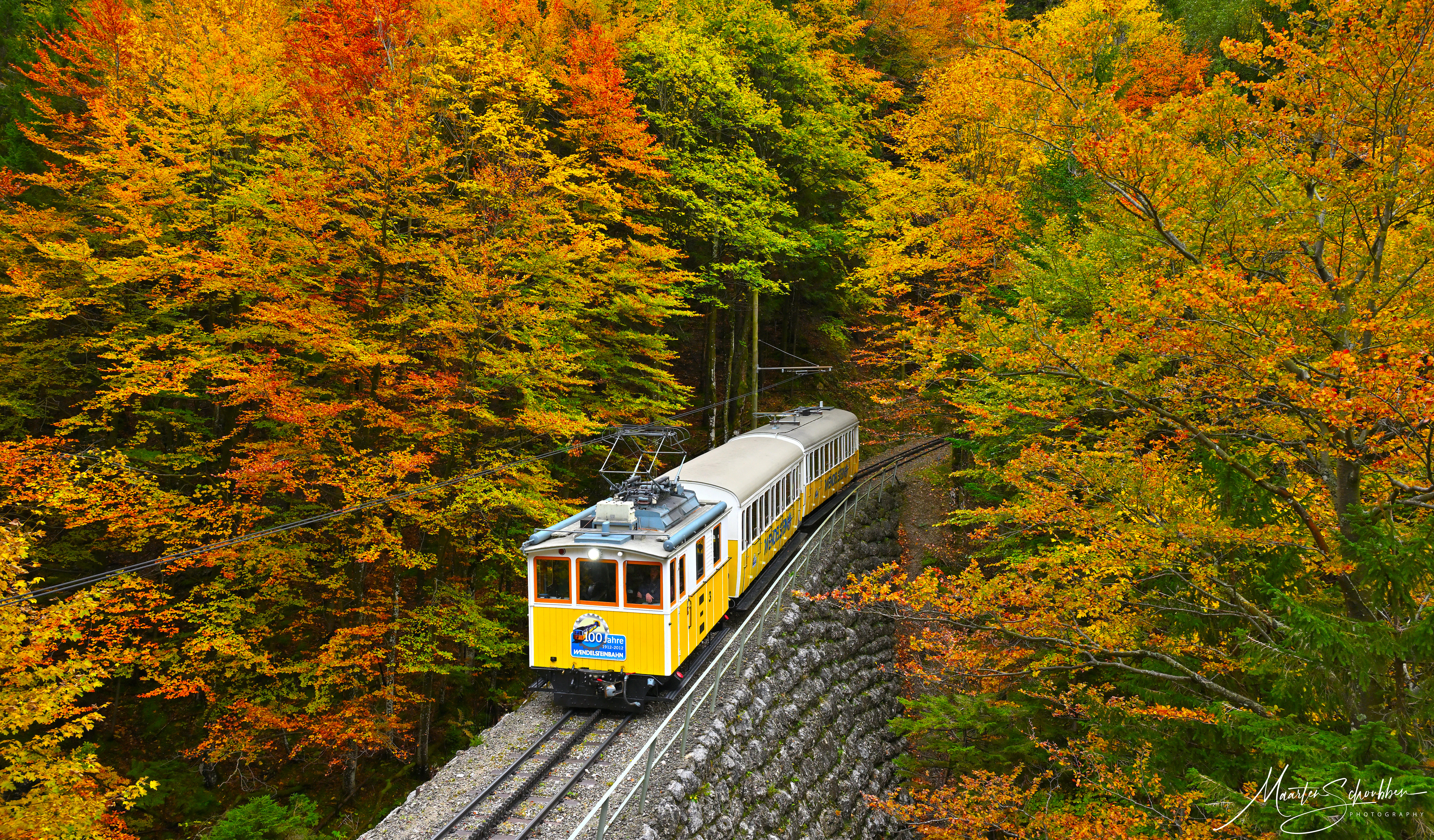 Yellow train on a railway track surrounded by autumn trees HD Wallpaper