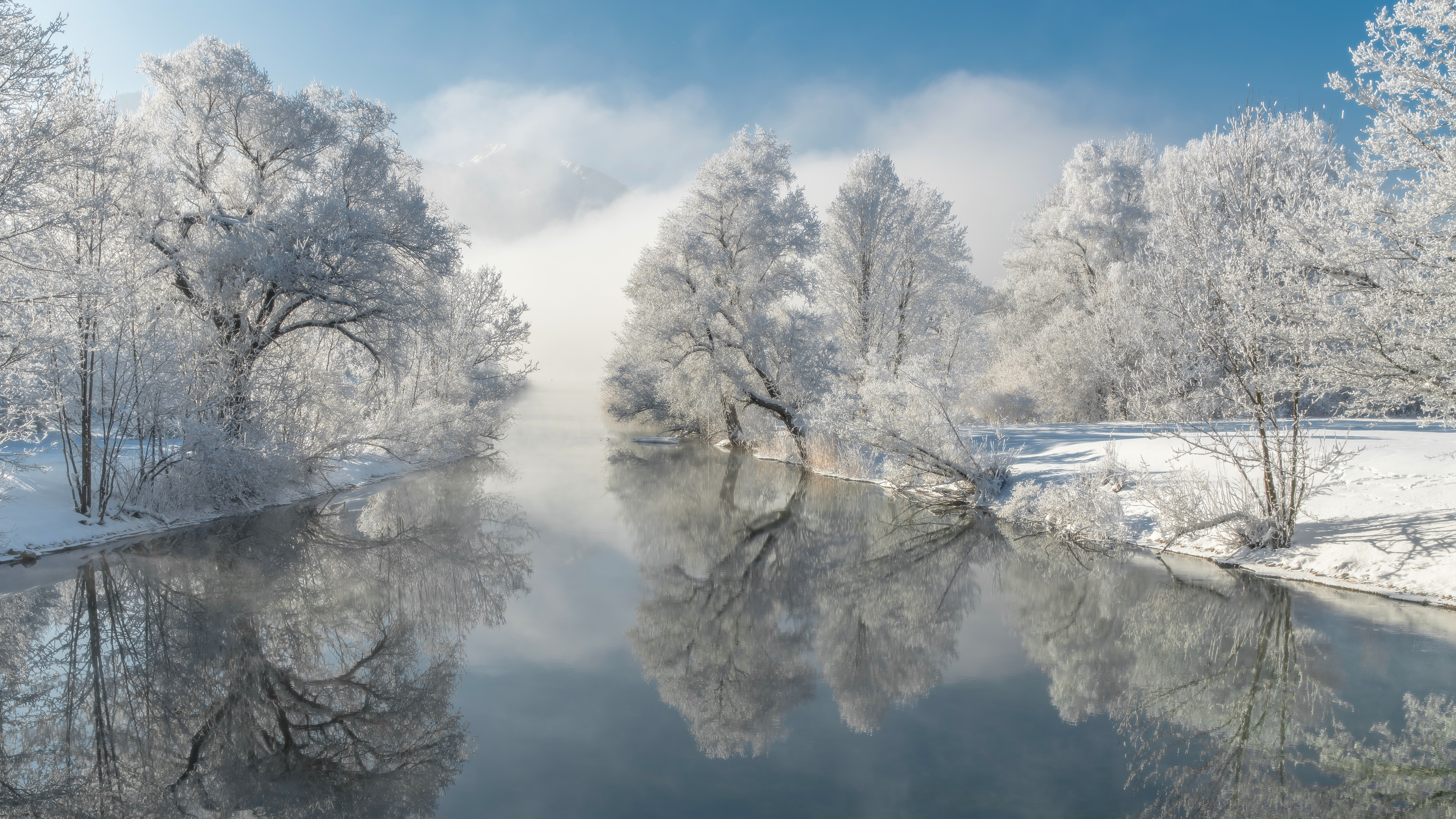 Winter river with frosted trees and mist HD Wallpaper