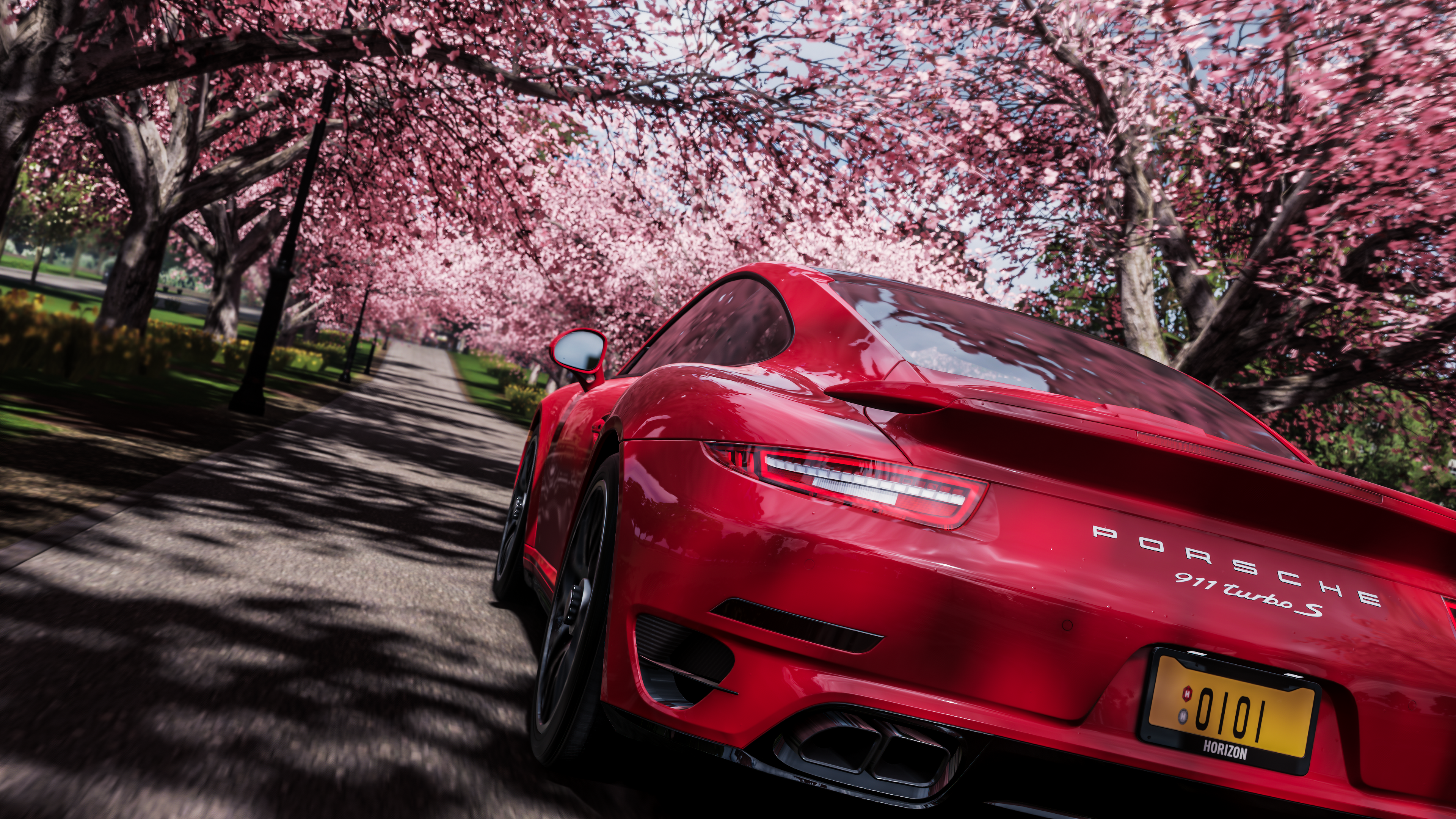 Porsche 911 Turbo S driving through cherry blossoms HD Wallpaper