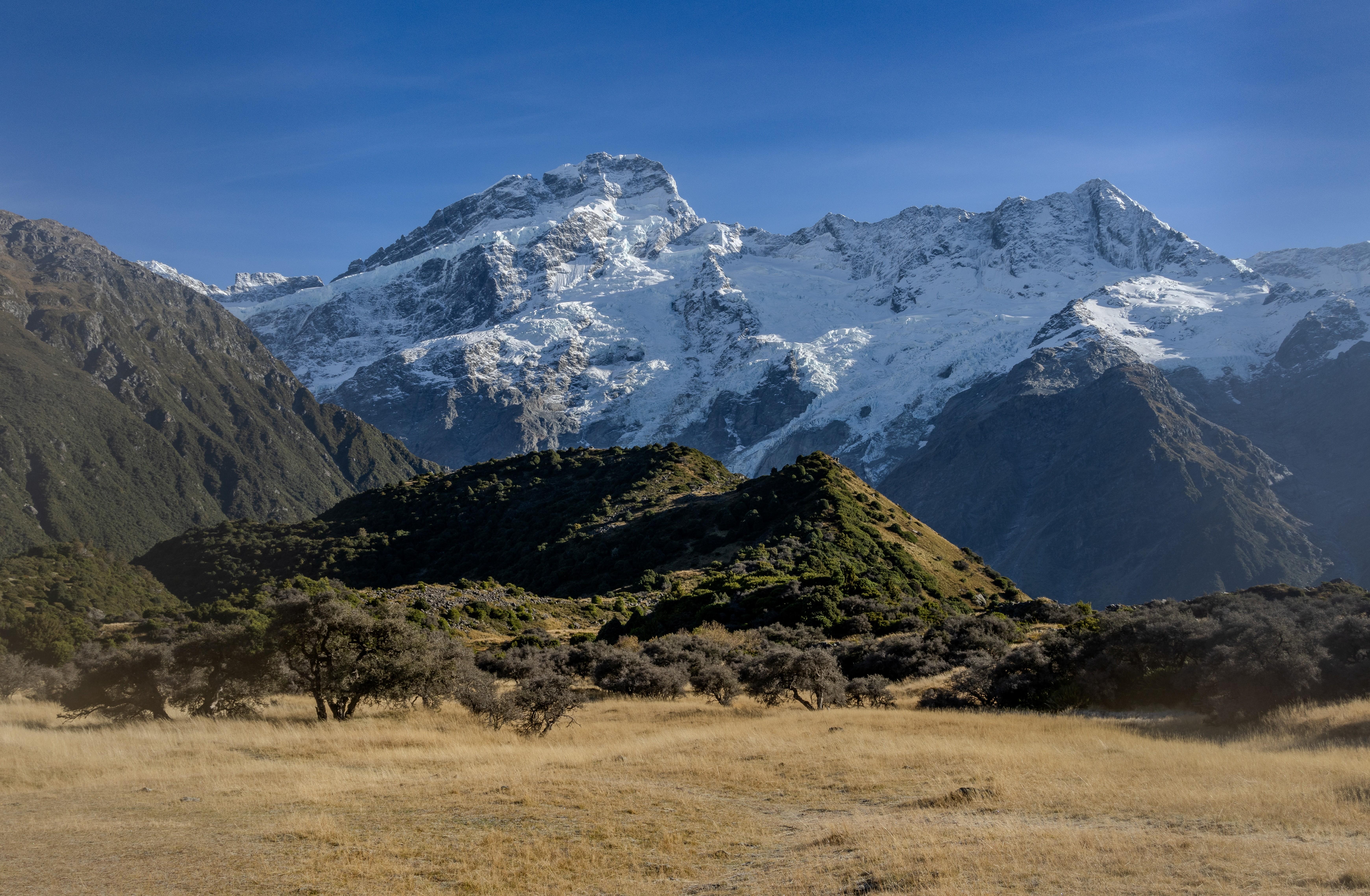 Snow-capped mountains rise above a grassy field with trees HD Wallpaper