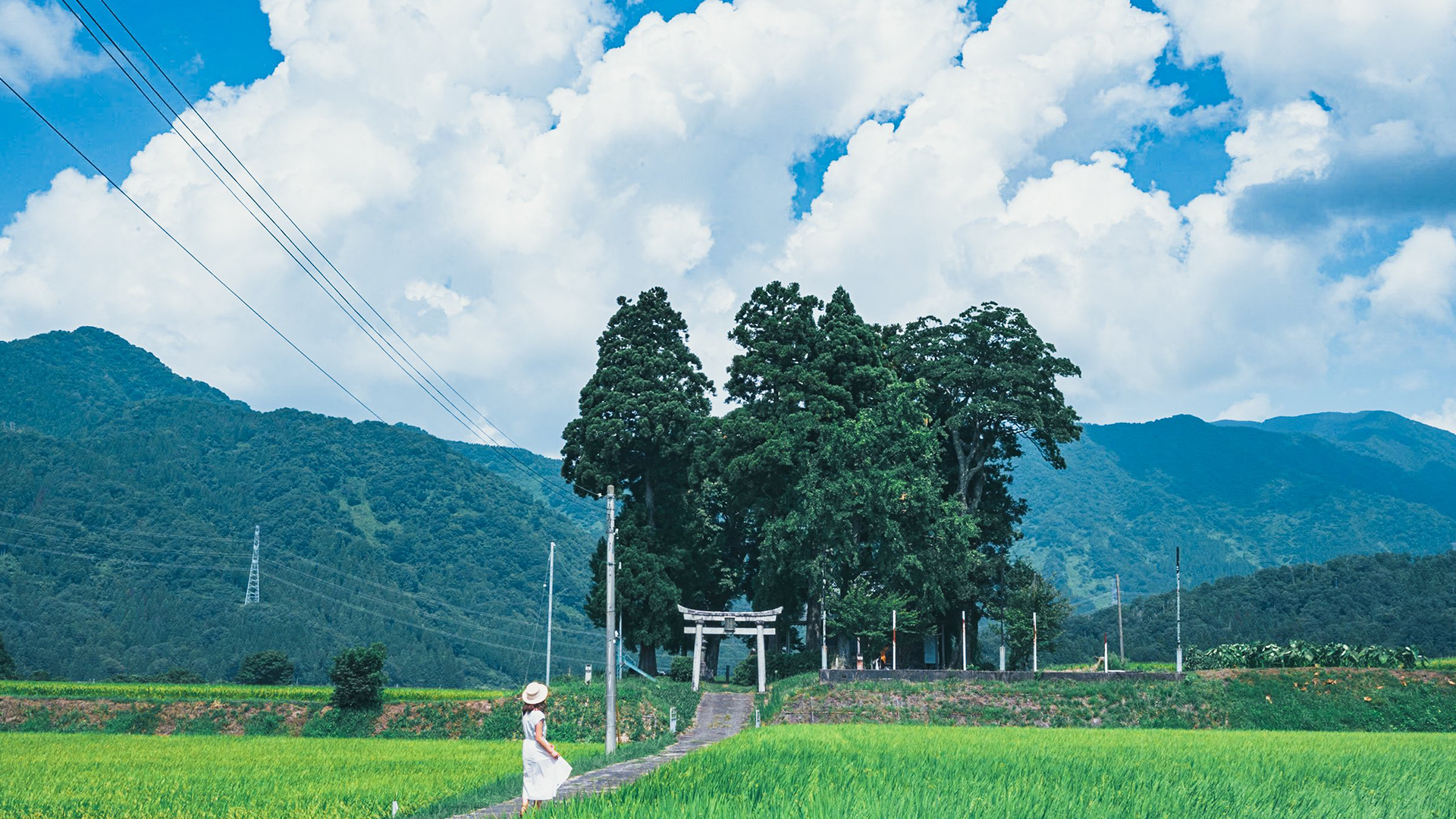 Woman in white dress near Shinto shrine with torii gate HD Wallpaper