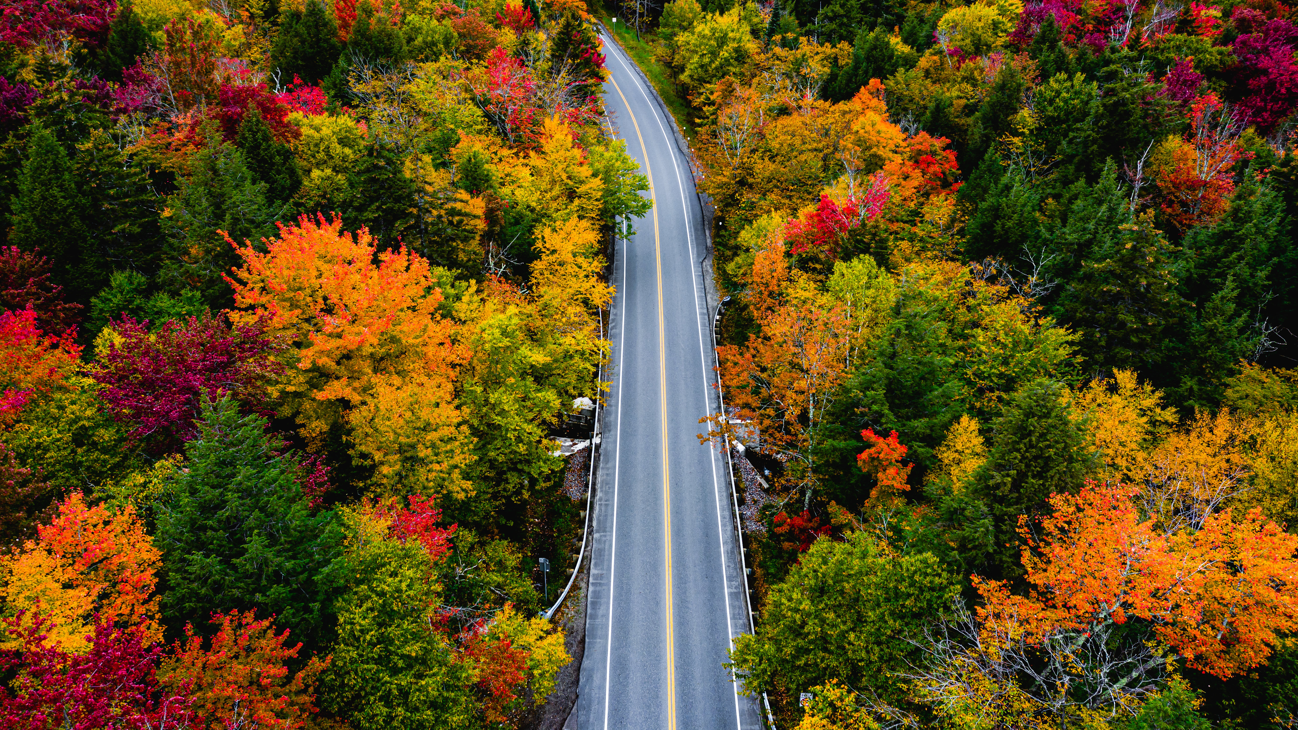 Aerial view of a road through a colorful autumn forest HD Wallpaper