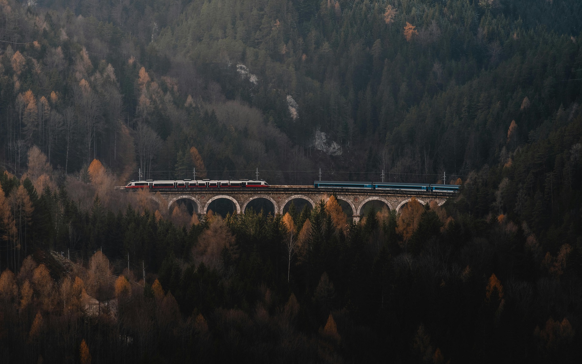 Train crossing a stone bridge in a dense forest HD Wallpaper