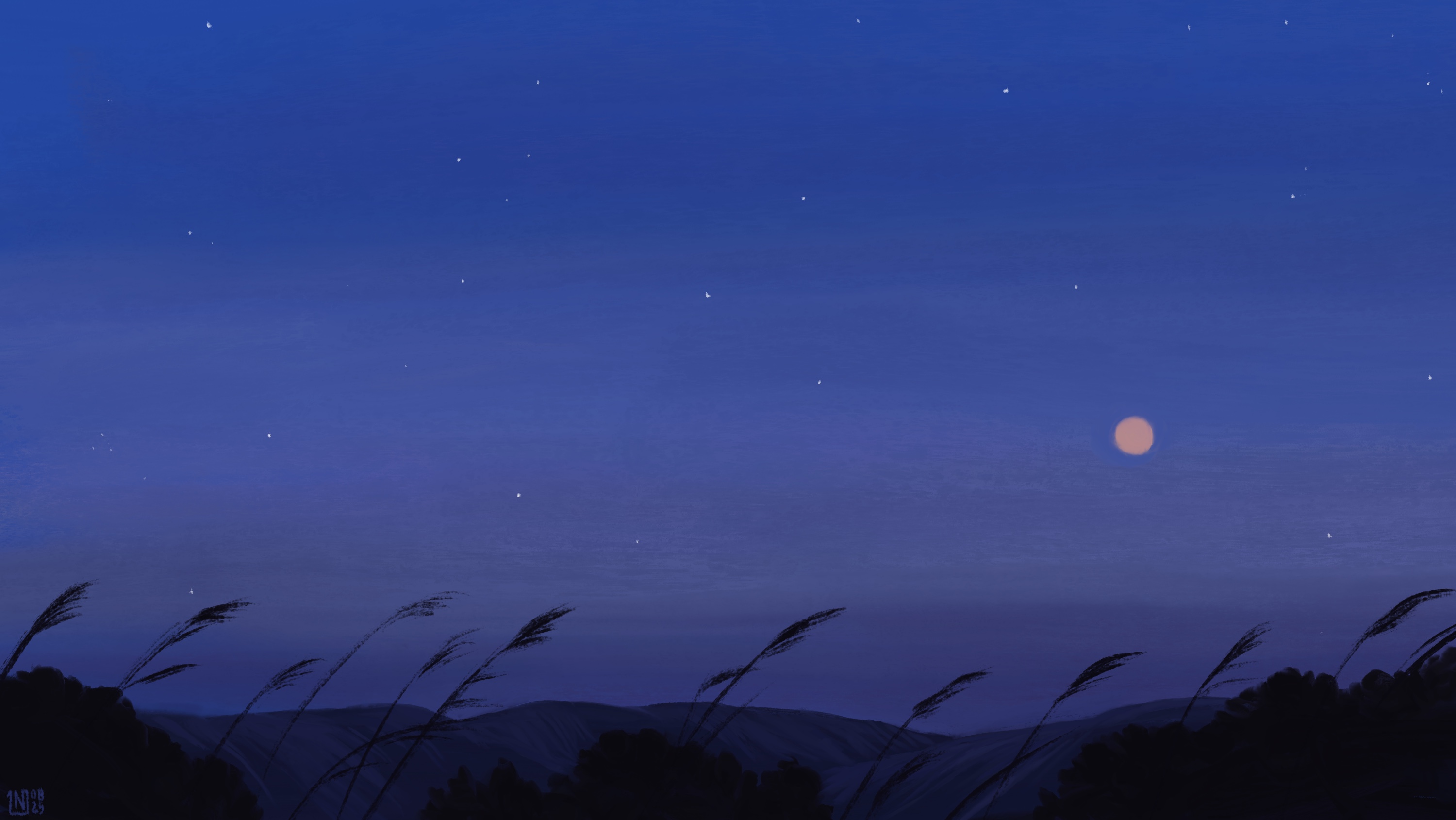 Night sky with moon, stars, and reeds HD Wallpaper