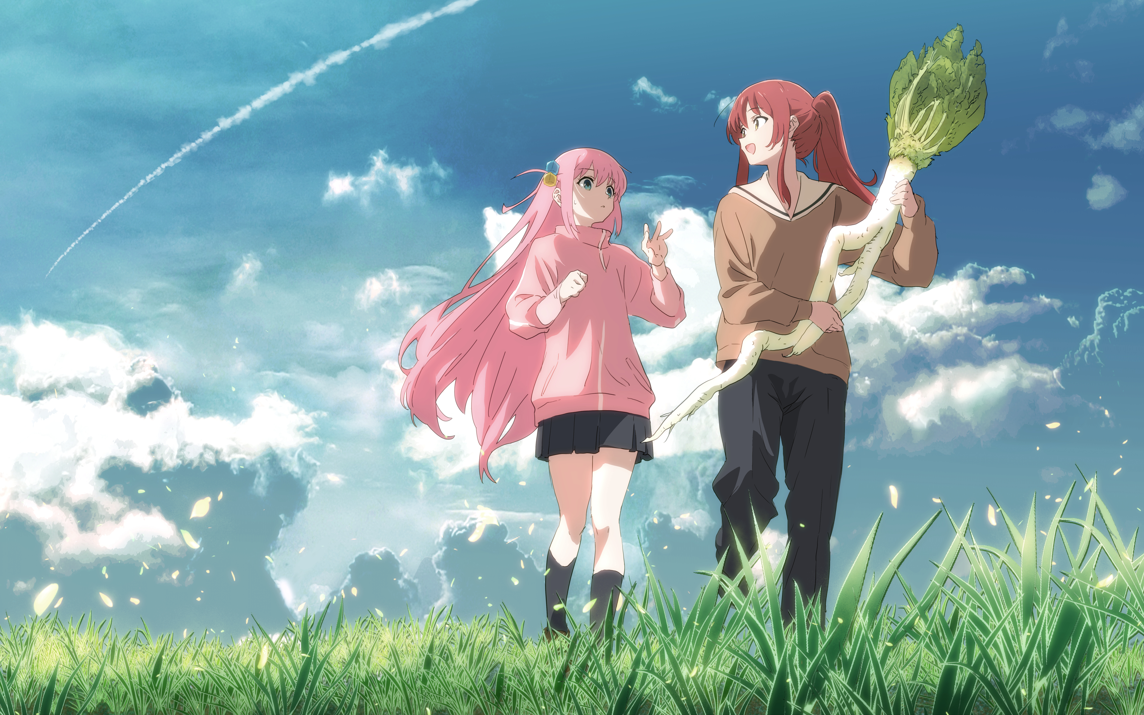 BOCCHI THE ROCK! Two women in a field HD Wallpaper